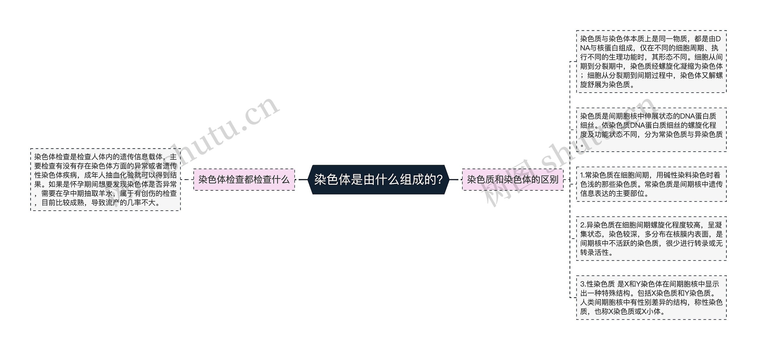 染色体是由什么组成的?