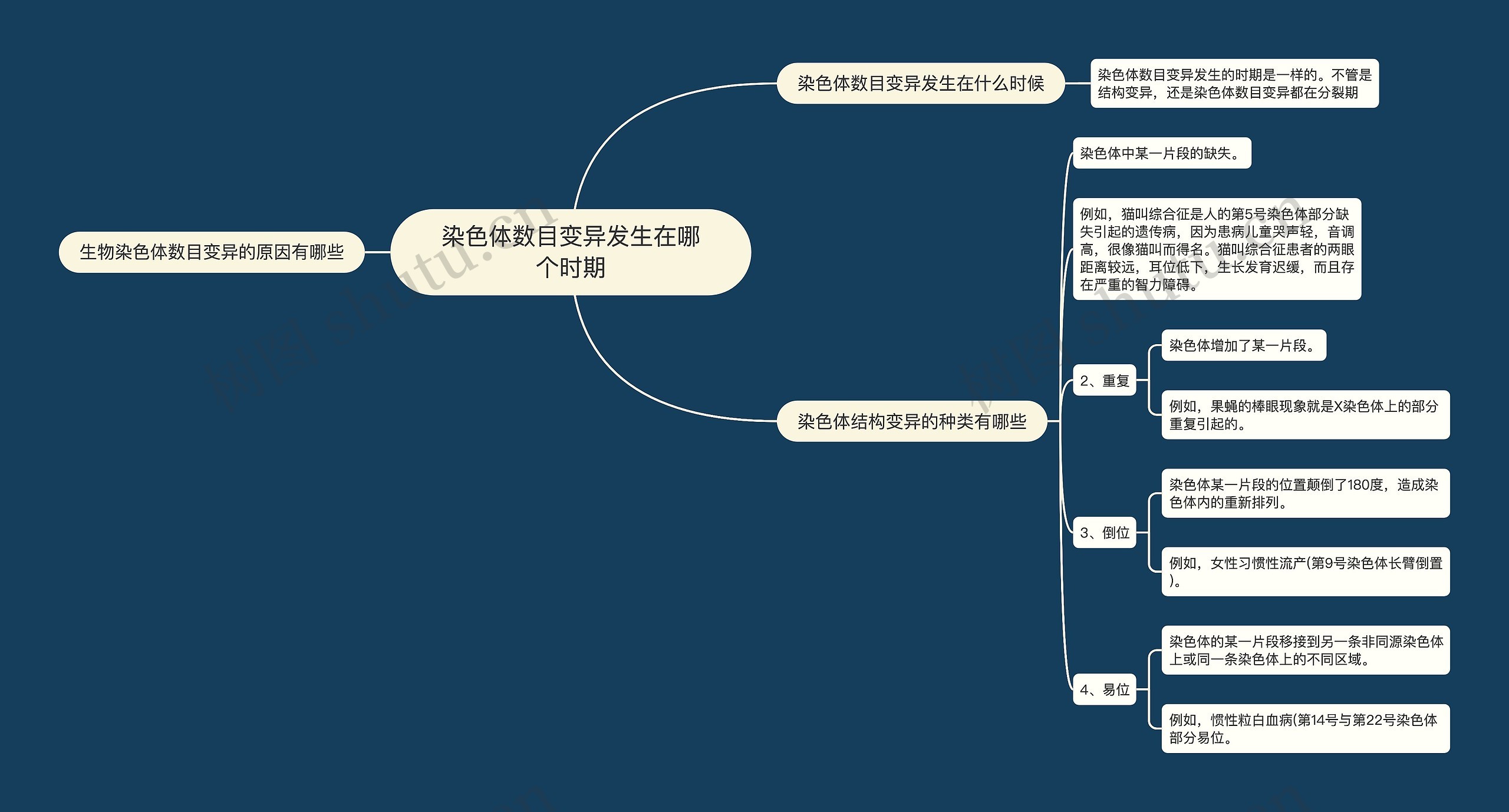 染色体数目变异发生在哪个时期思维导图