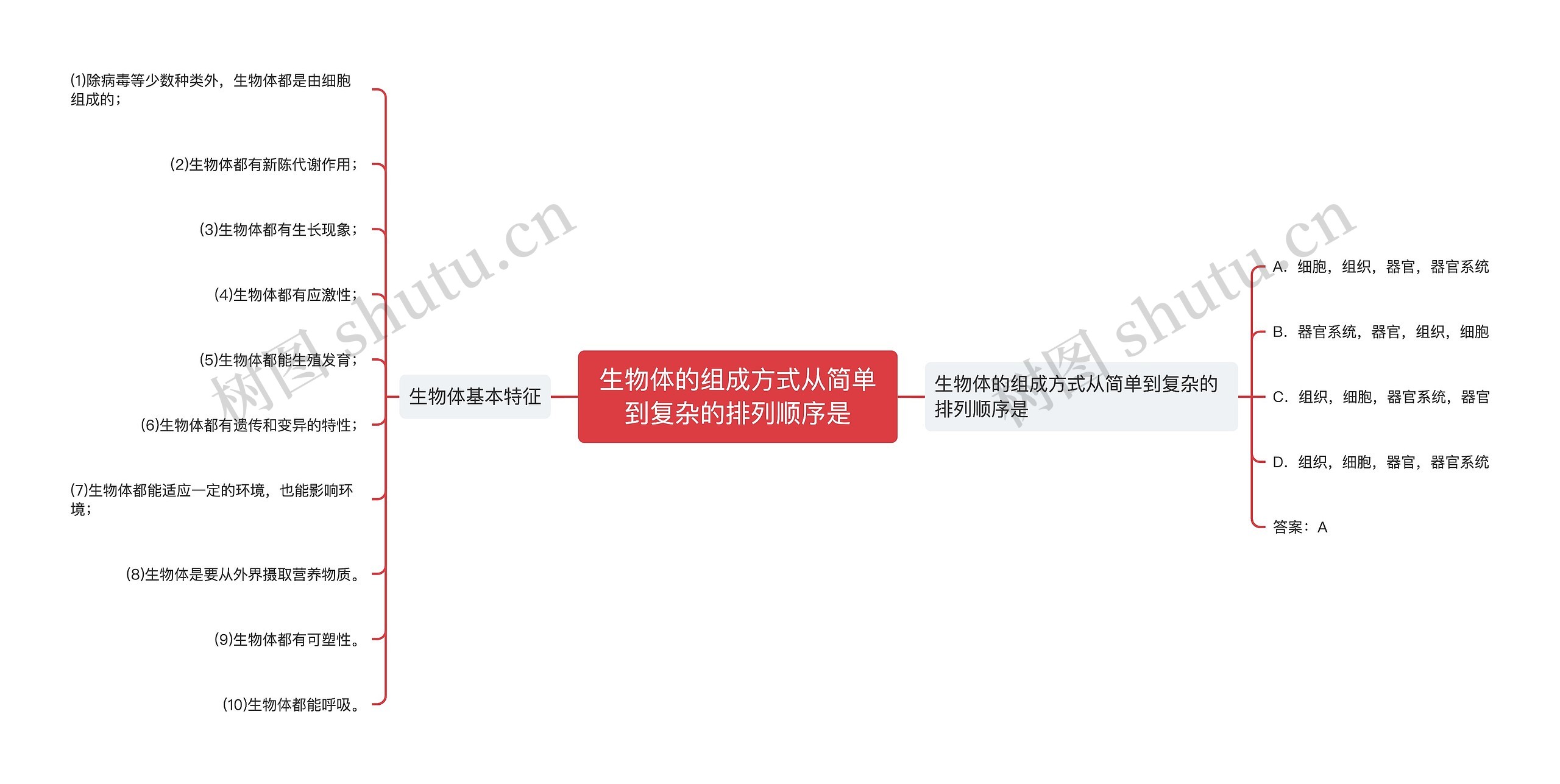 生物体的组成方式从简单到复杂的排列顺序是思维导图