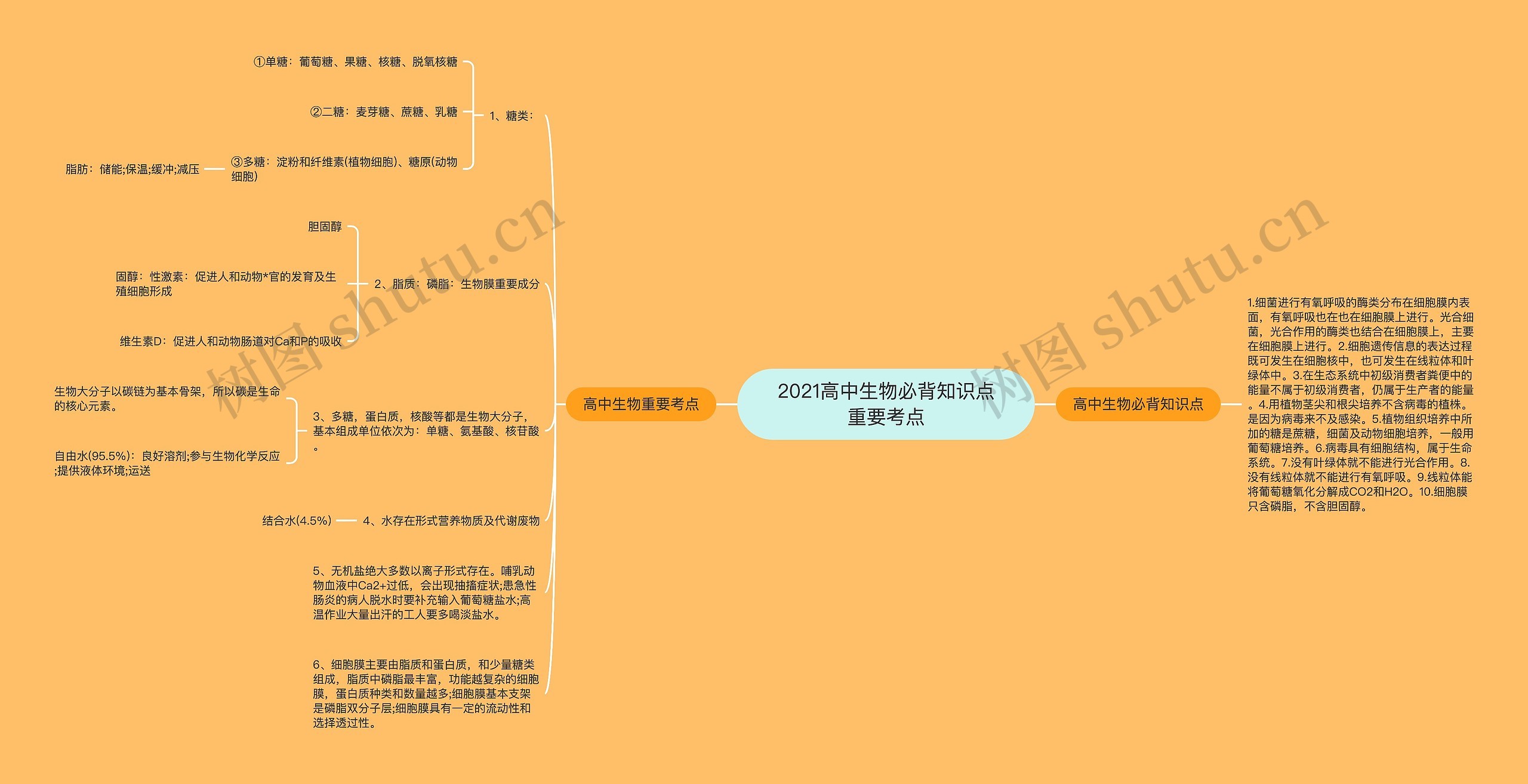 2021高中生物必背知识点重要考点