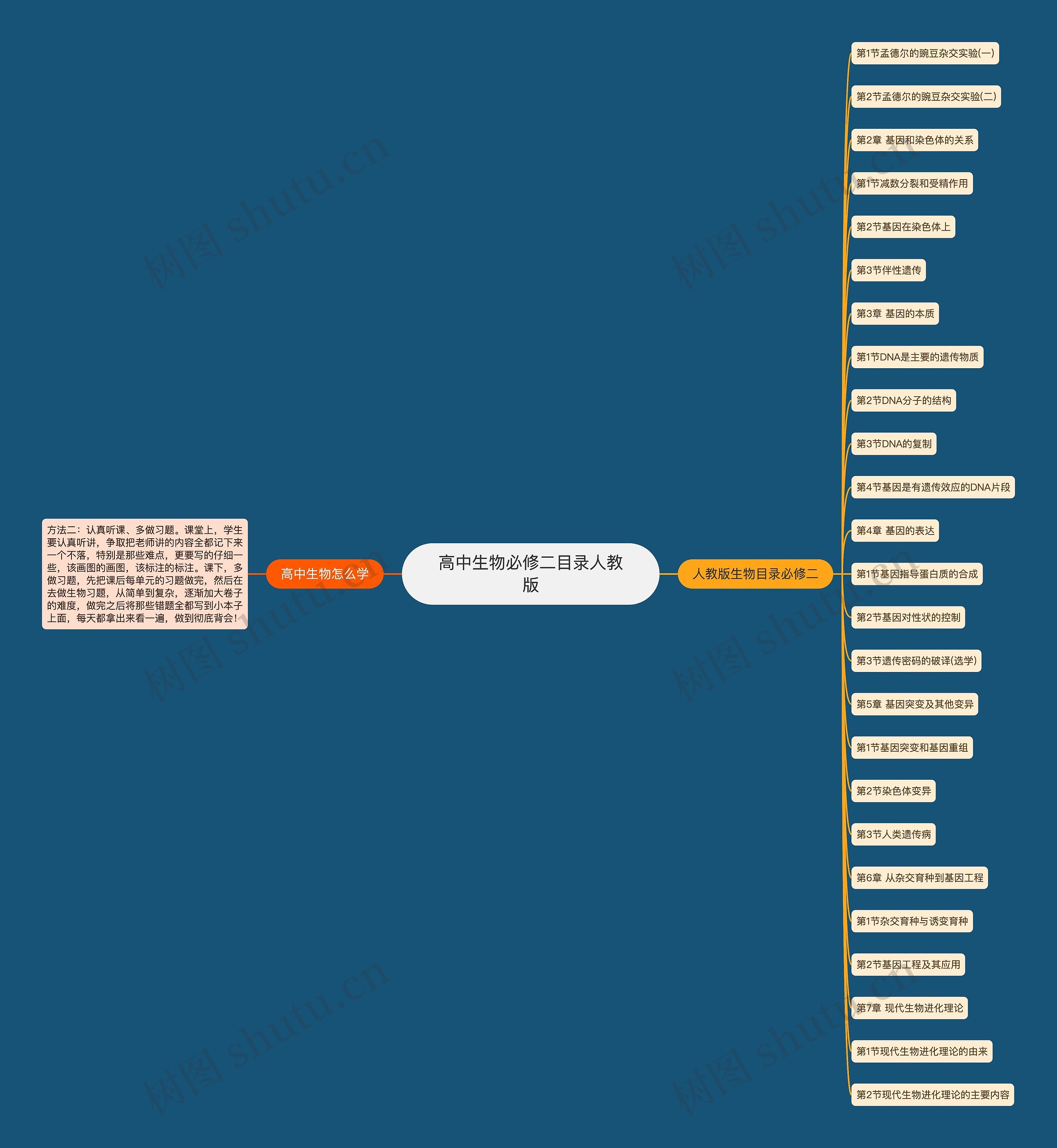 高中生物必修二目录人教版思维导图