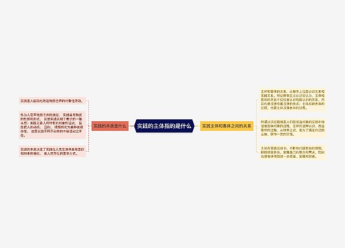 实践的主体指的是什么