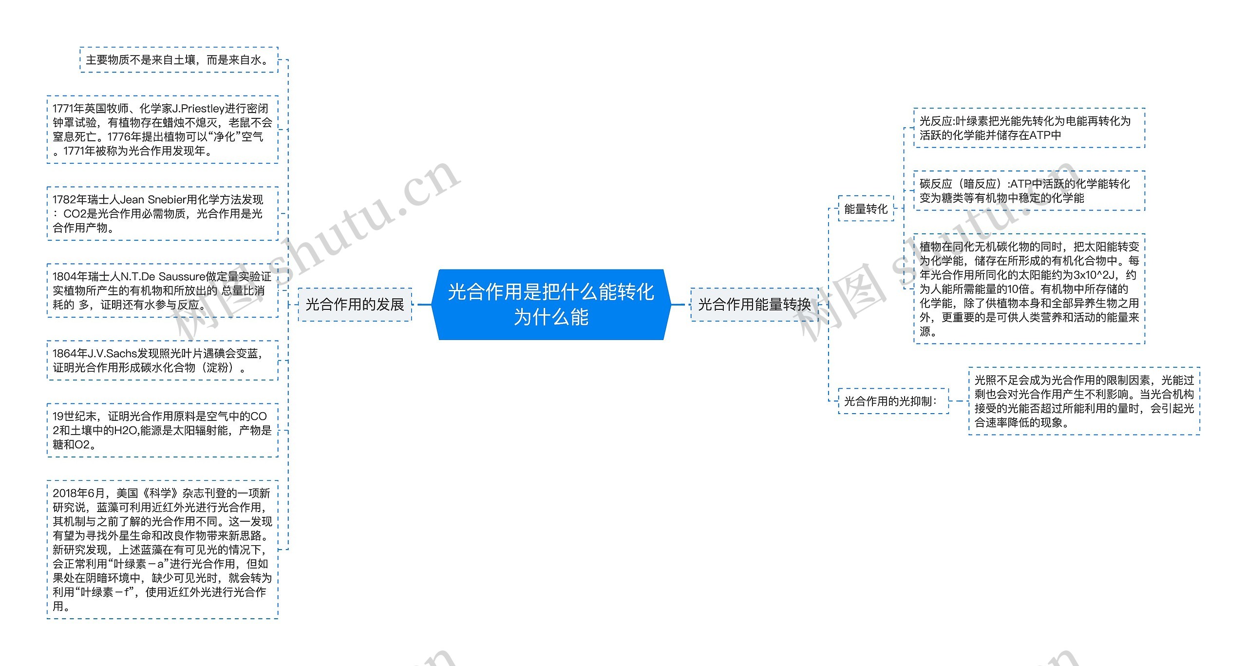 光合作用是把什么能转化为什么能