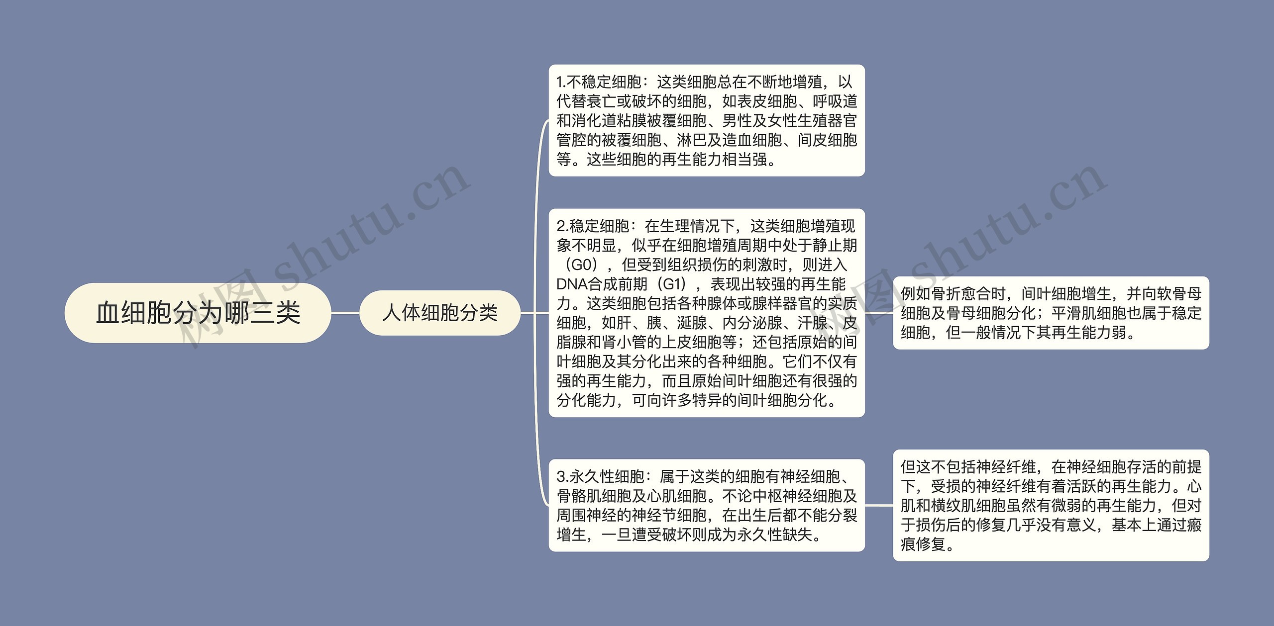 血细胞分为哪三类思维导图