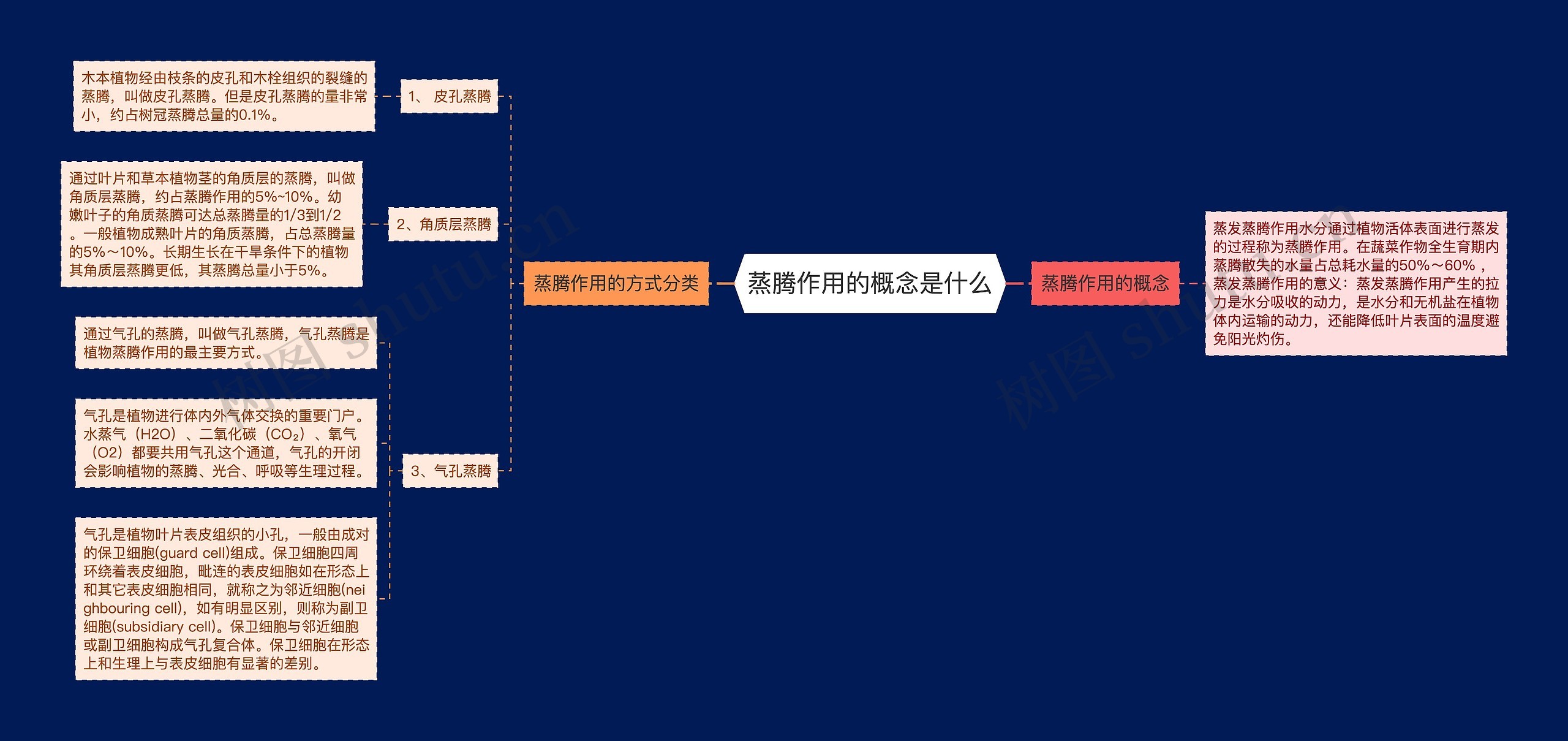 蒸腾作用的概念是什么思维导图