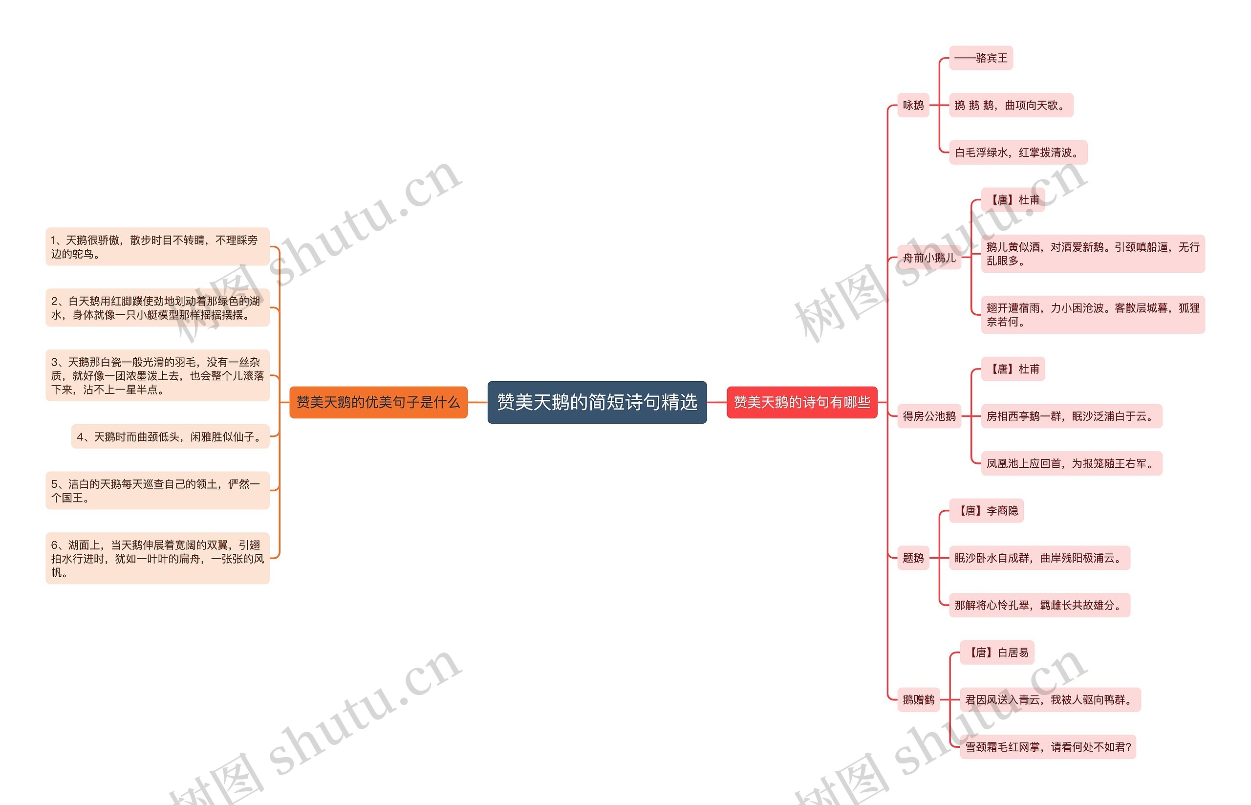 赞美天鹅的简短诗句精选思维导图