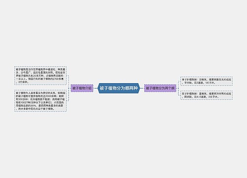 被子植物分为哪两种