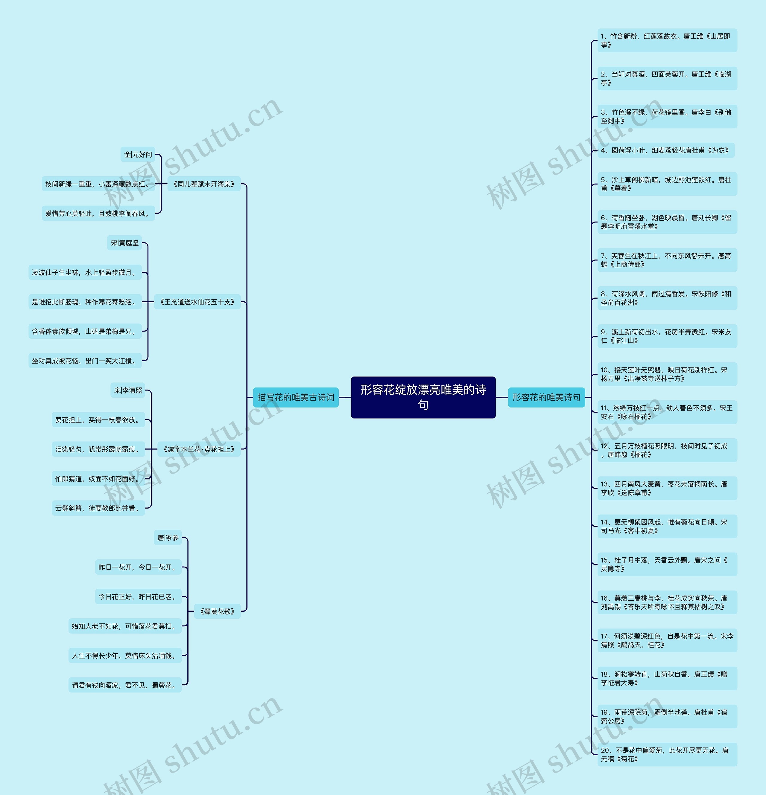 形容花绽放漂亮唯美的诗句思维导图