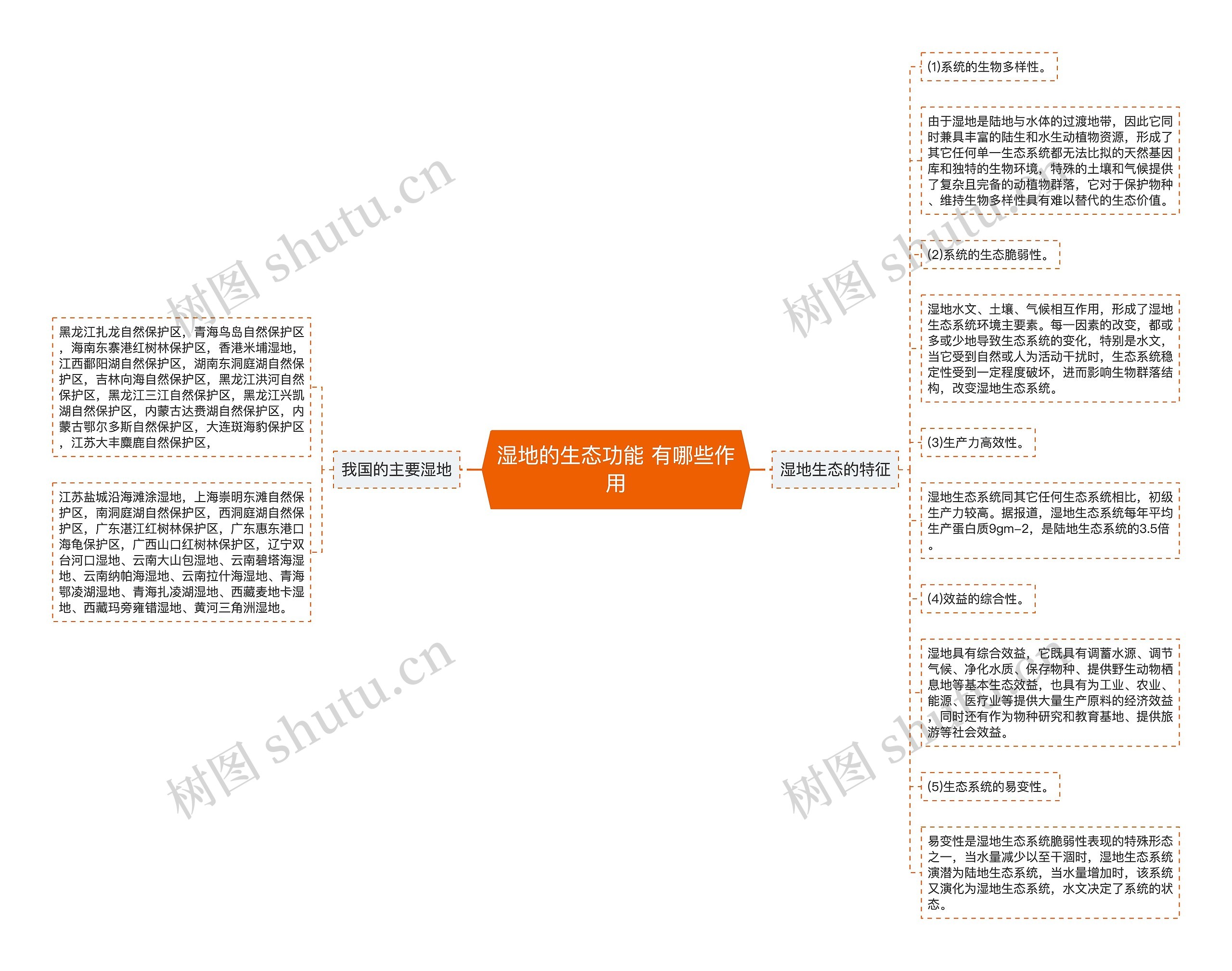 湿地的生态功能 有哪些作用思维导图