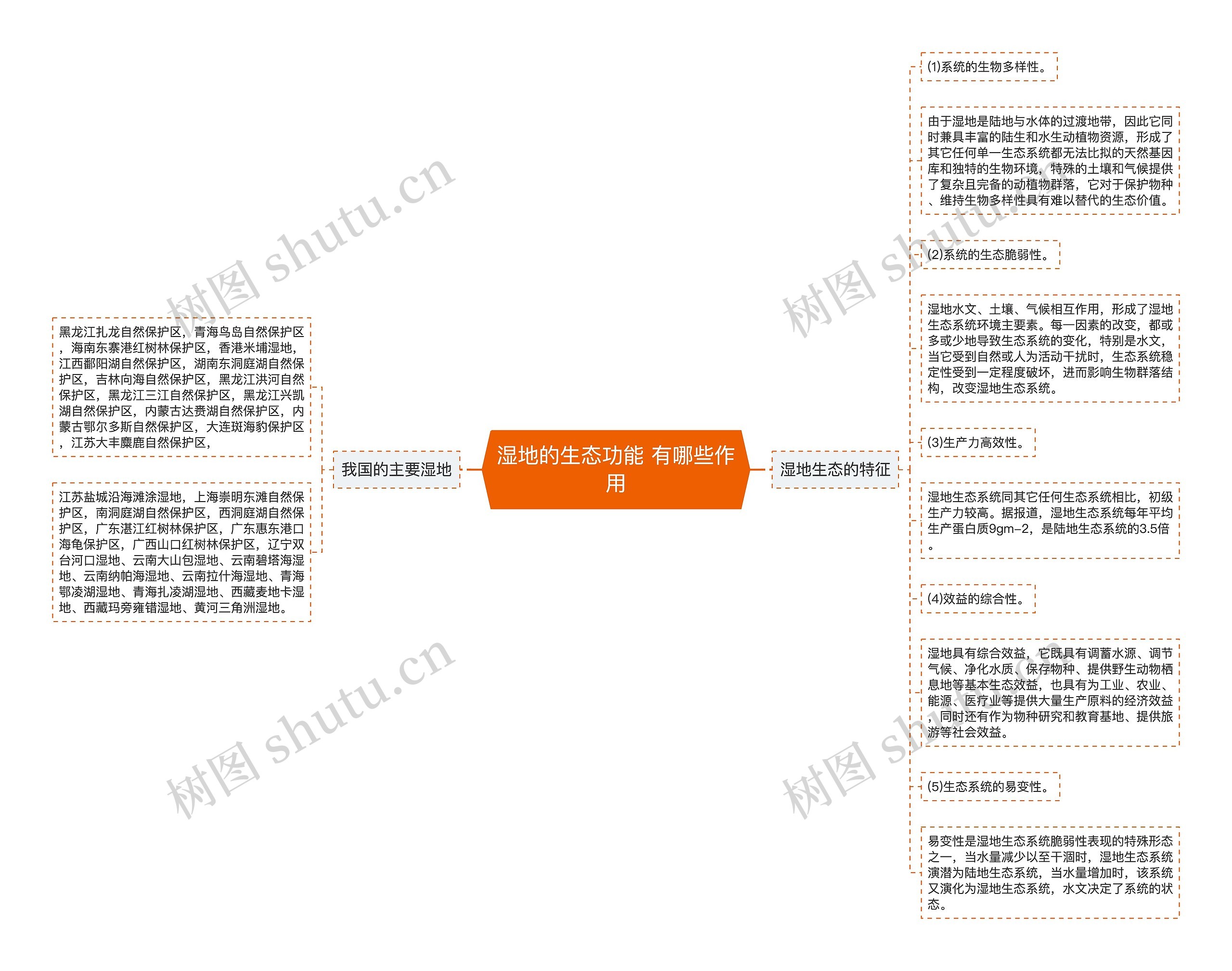 湿地的生态功能 有哪些作用思维导图高清图 湿地的生态功能 有哪些作用思维导图