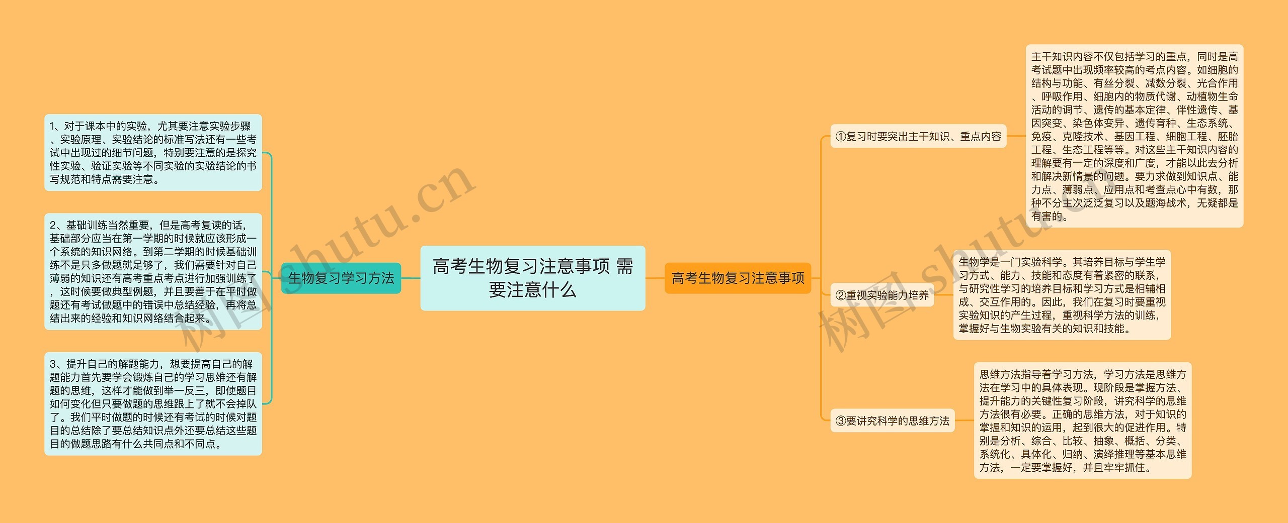 高考生物复习注意事项 需要注意什么思维导图