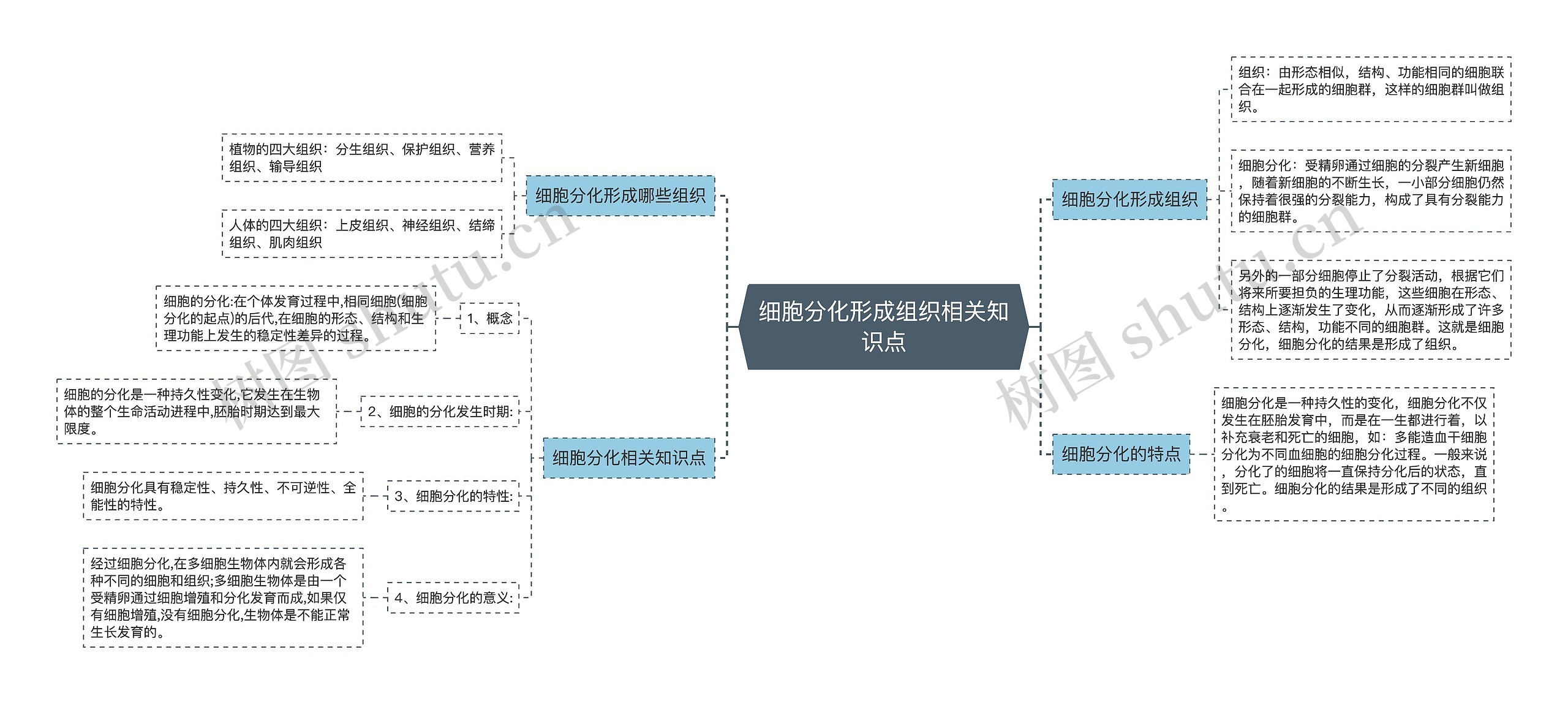 细胞分化形成组织相关知识点