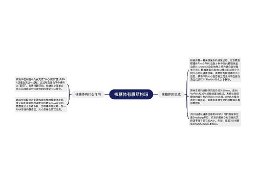 核糖体有膜结构吗