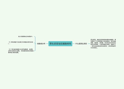 原生质层包括细胞核吗