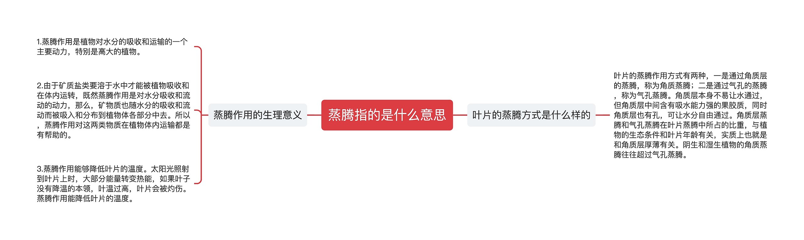 蒸腾指的是什么意思