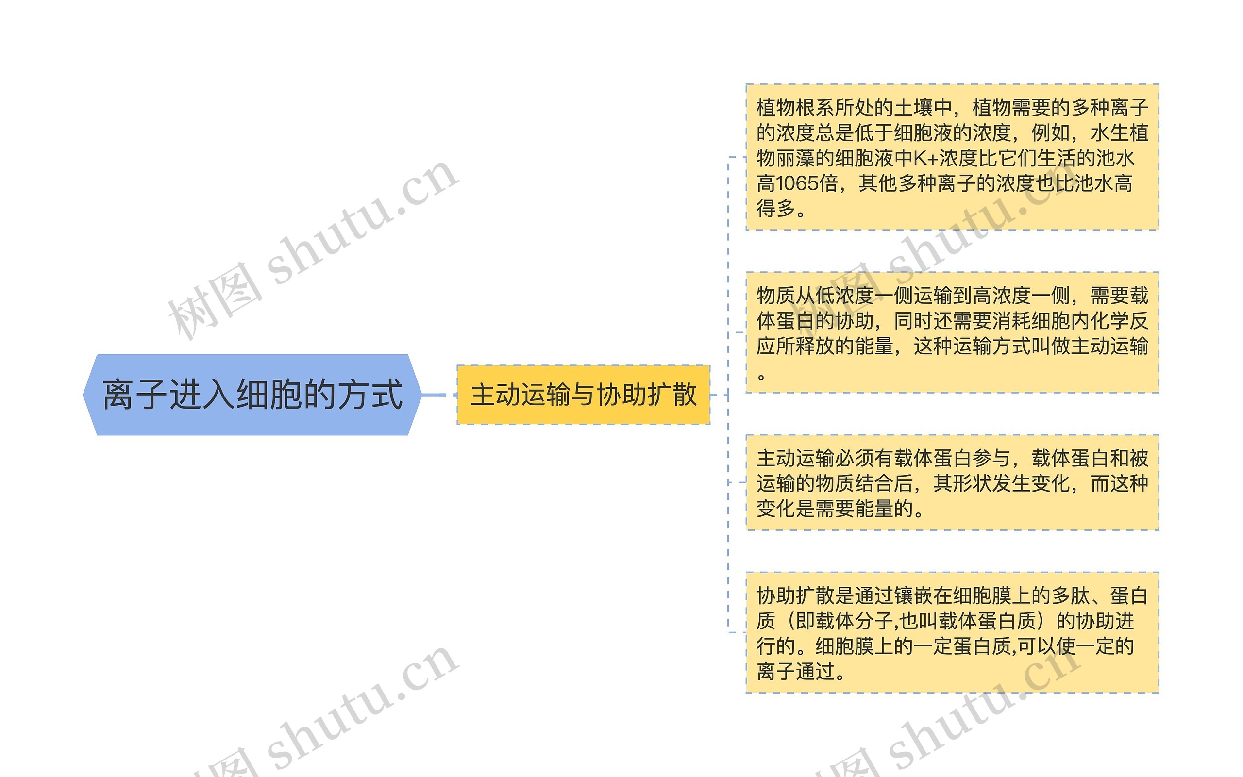 离子进入细胞的方式