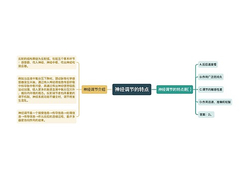 神经调节的特点