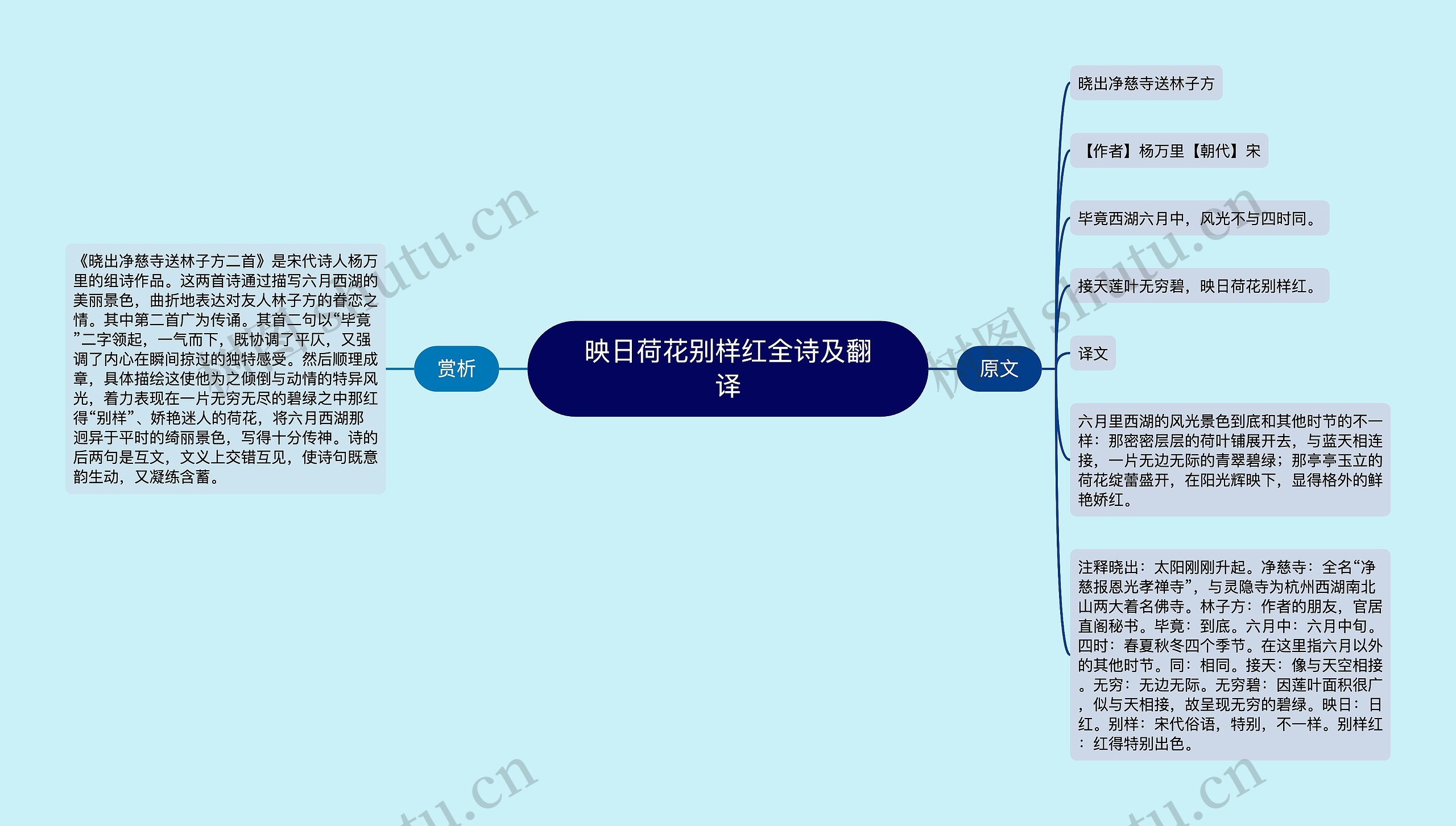 映日荷花别样红全诗及翻译思维导图