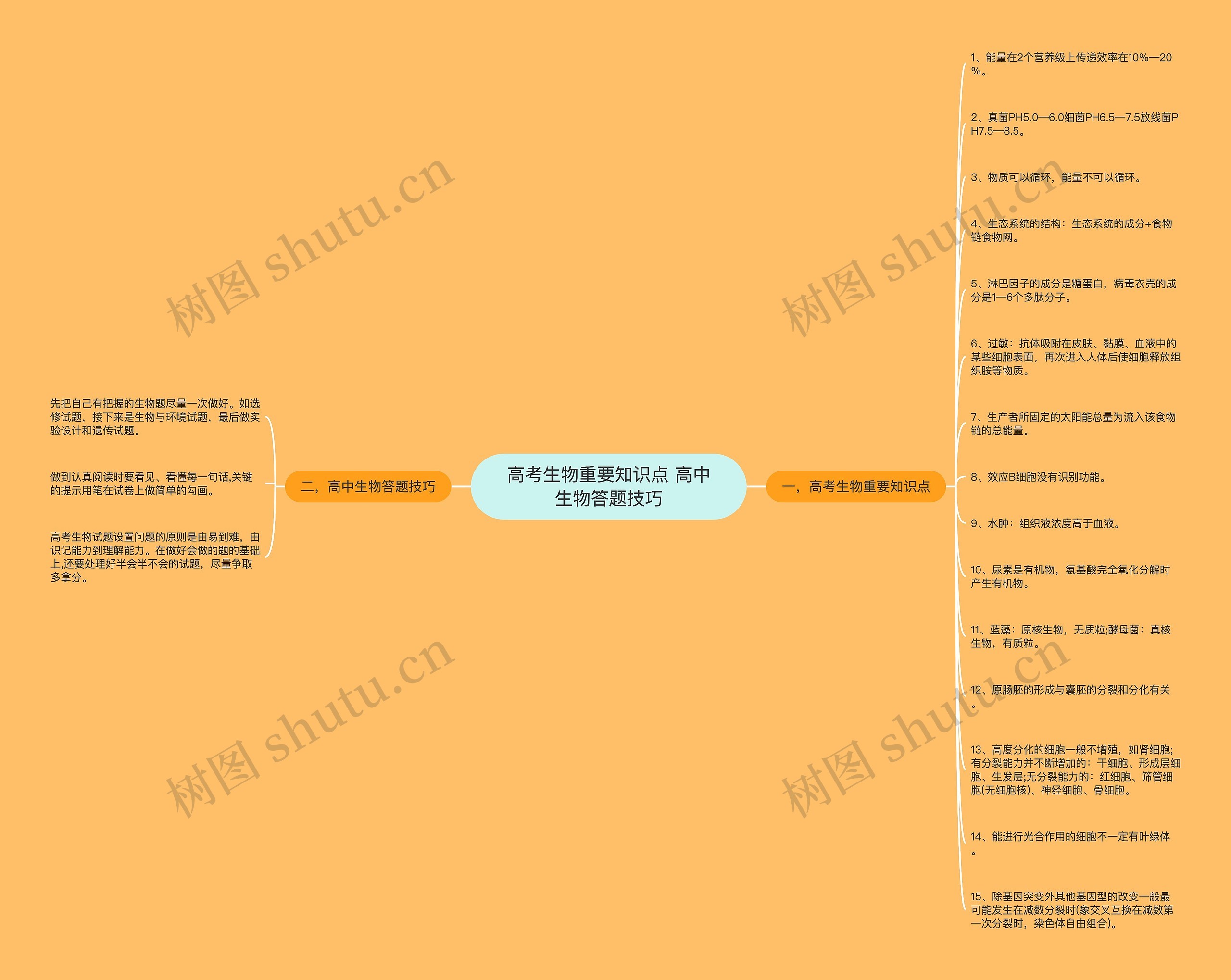 高考生物重要知识点 高中生物答题技巧思维导图