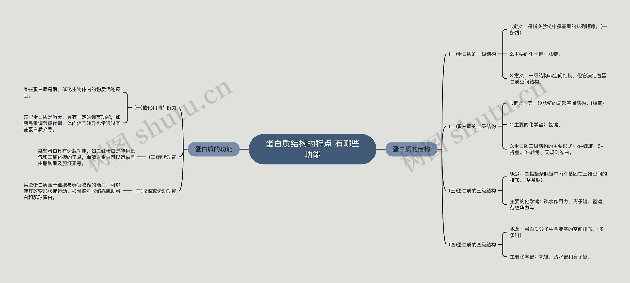 蛋白质结构的特点 有哪些功能思维导图