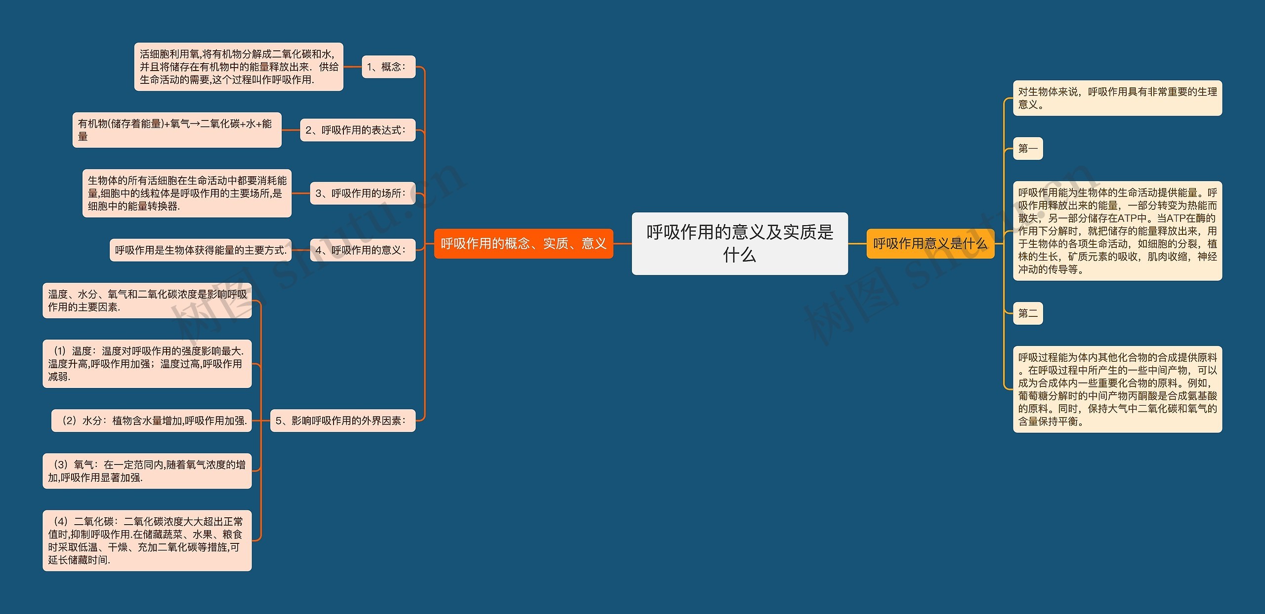 呼吸作用的意义及实质是什么思维导图