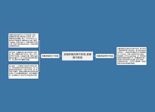 无氧呼吸的两个阶段 是哪两个阶段