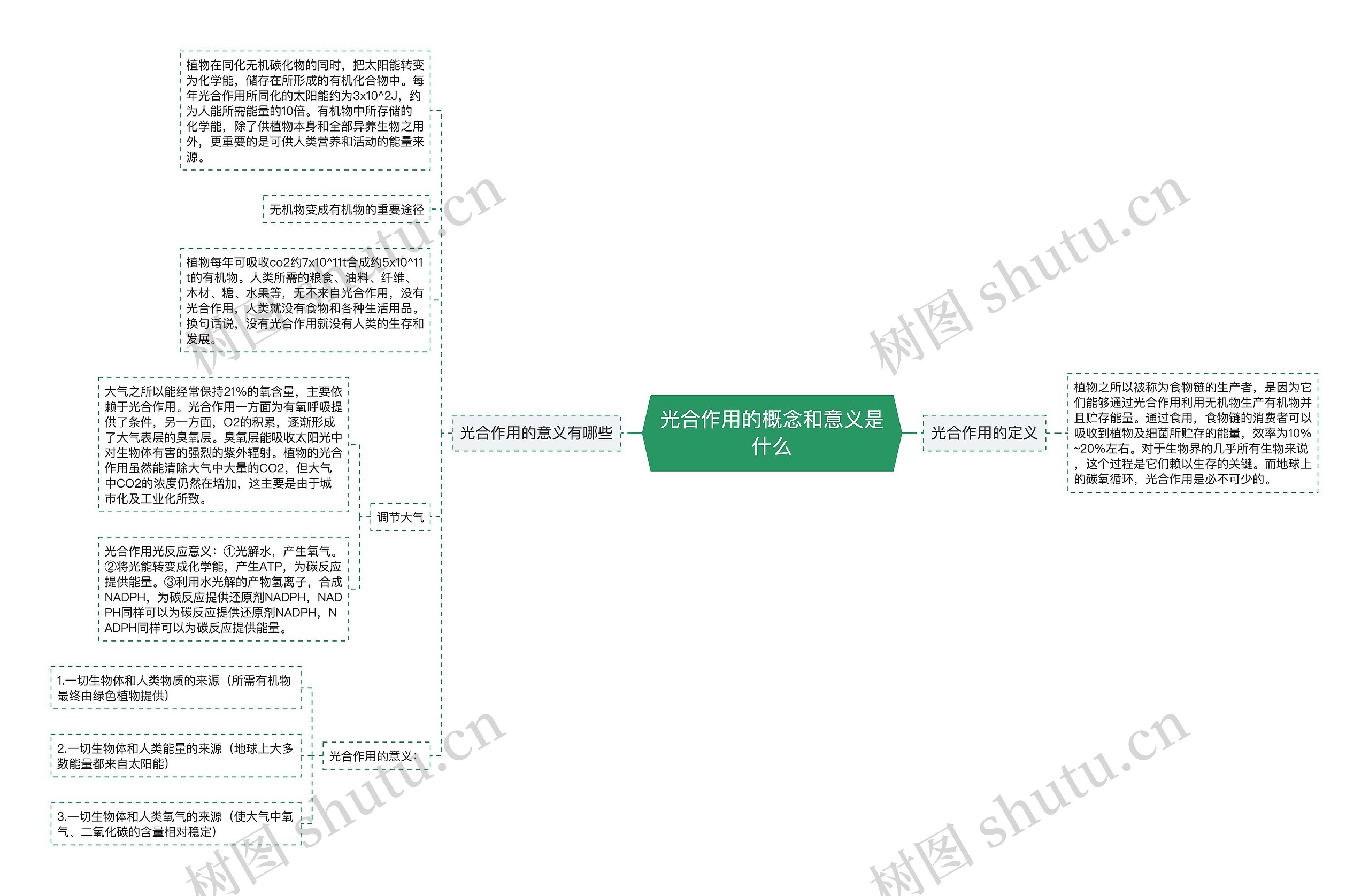 光合作用的概念和意义是什么
