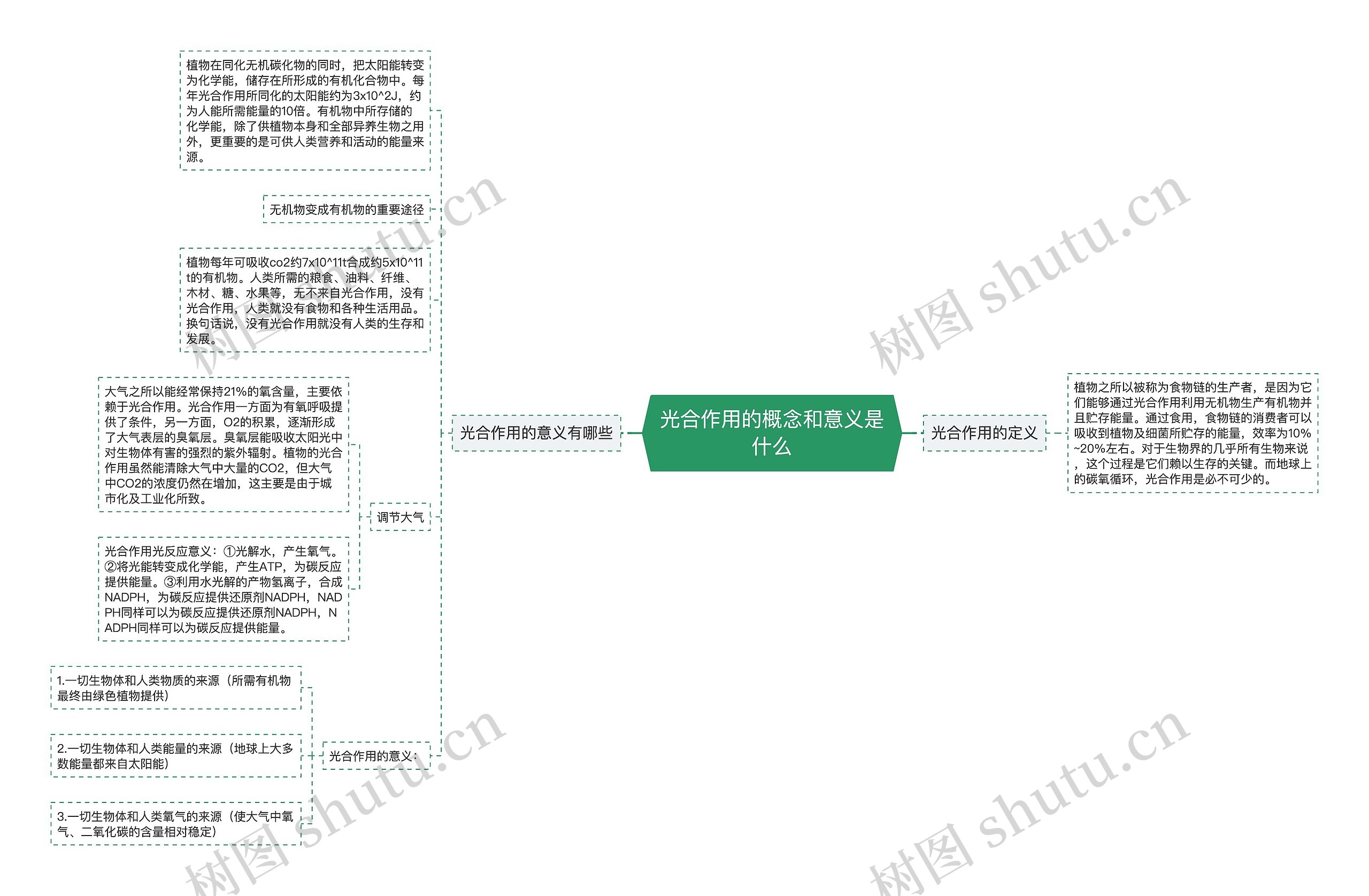 光合作用的概念和意义是什么思维导图