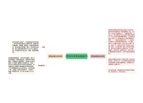 原核生物有细胞壁吗