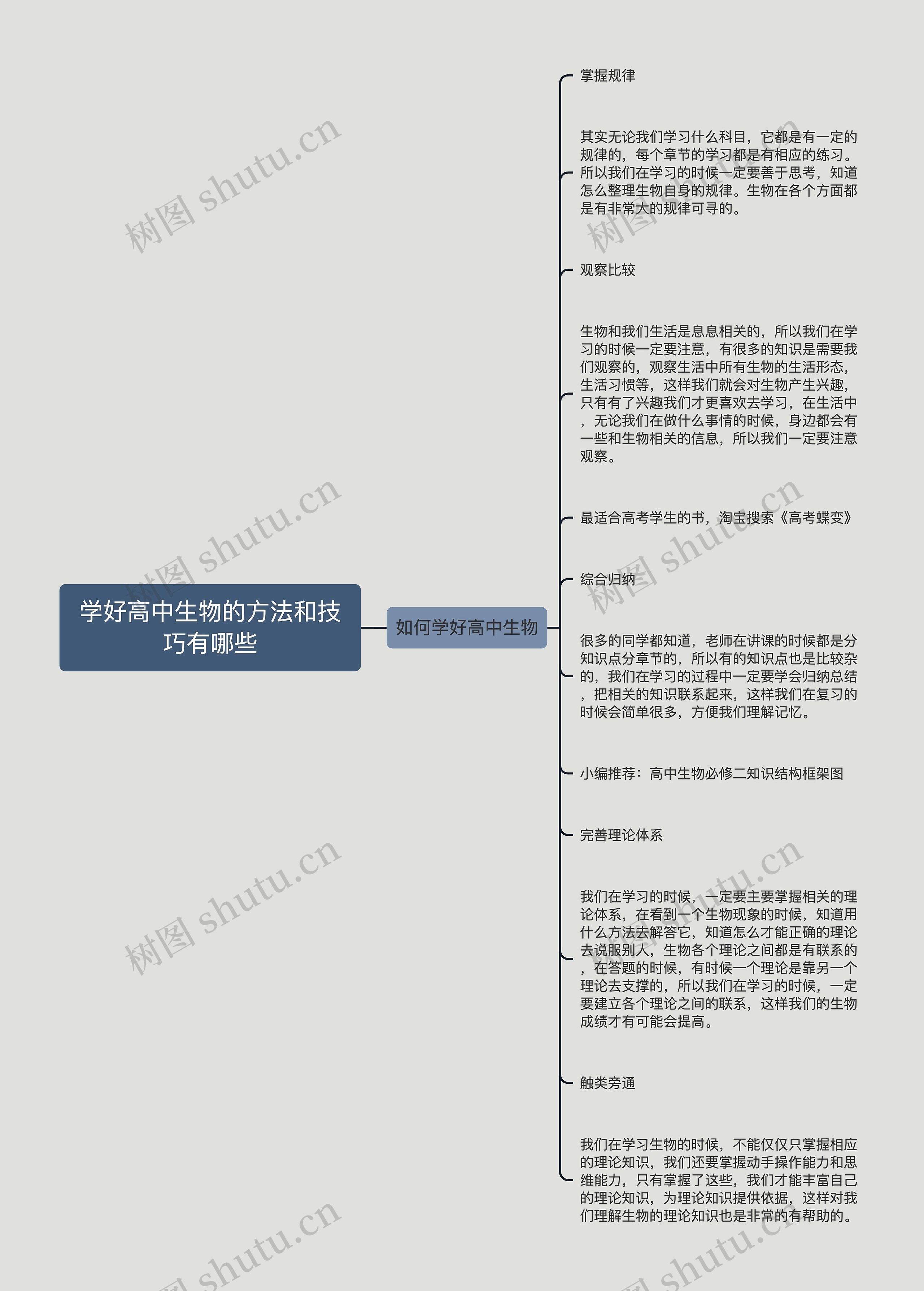 学好高中生物的方法和技巧有哪些思维导图