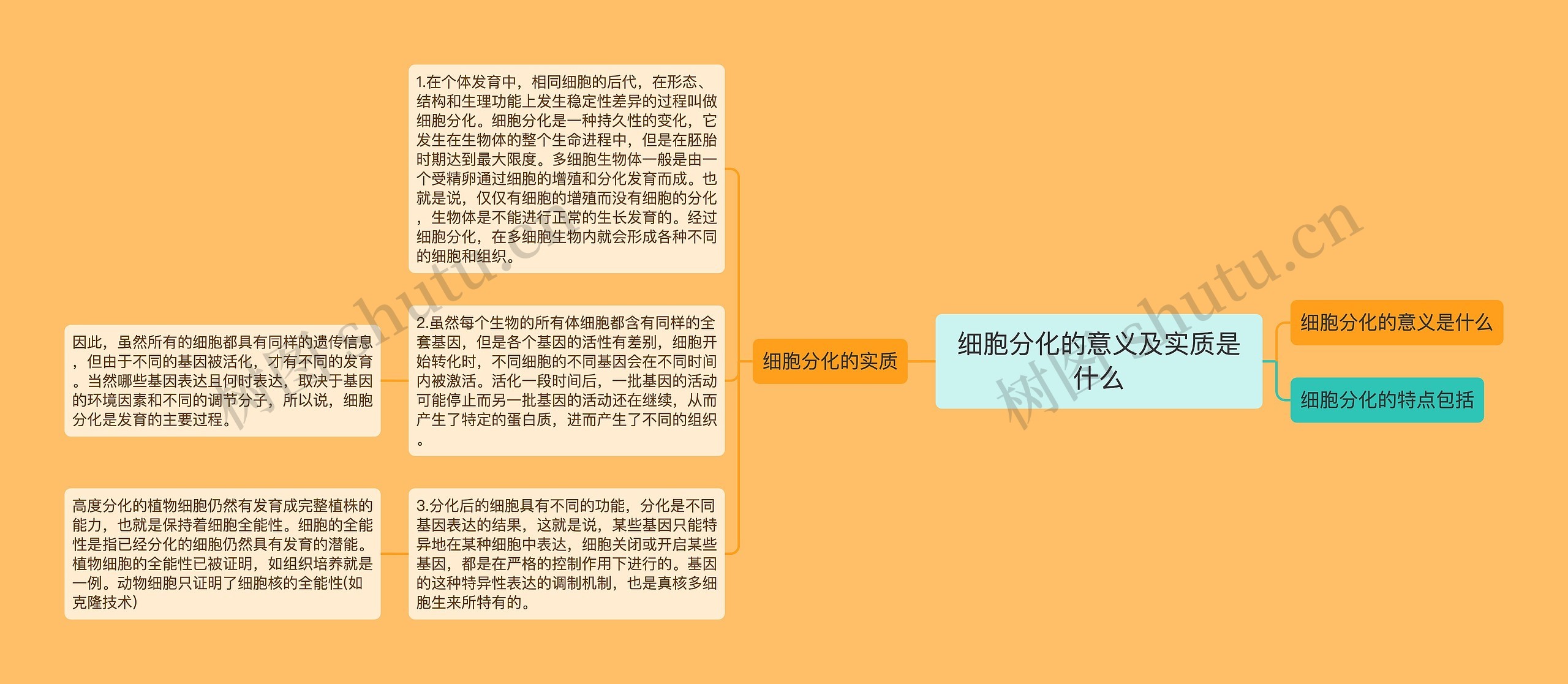 细胞分化的意义及实质是什么