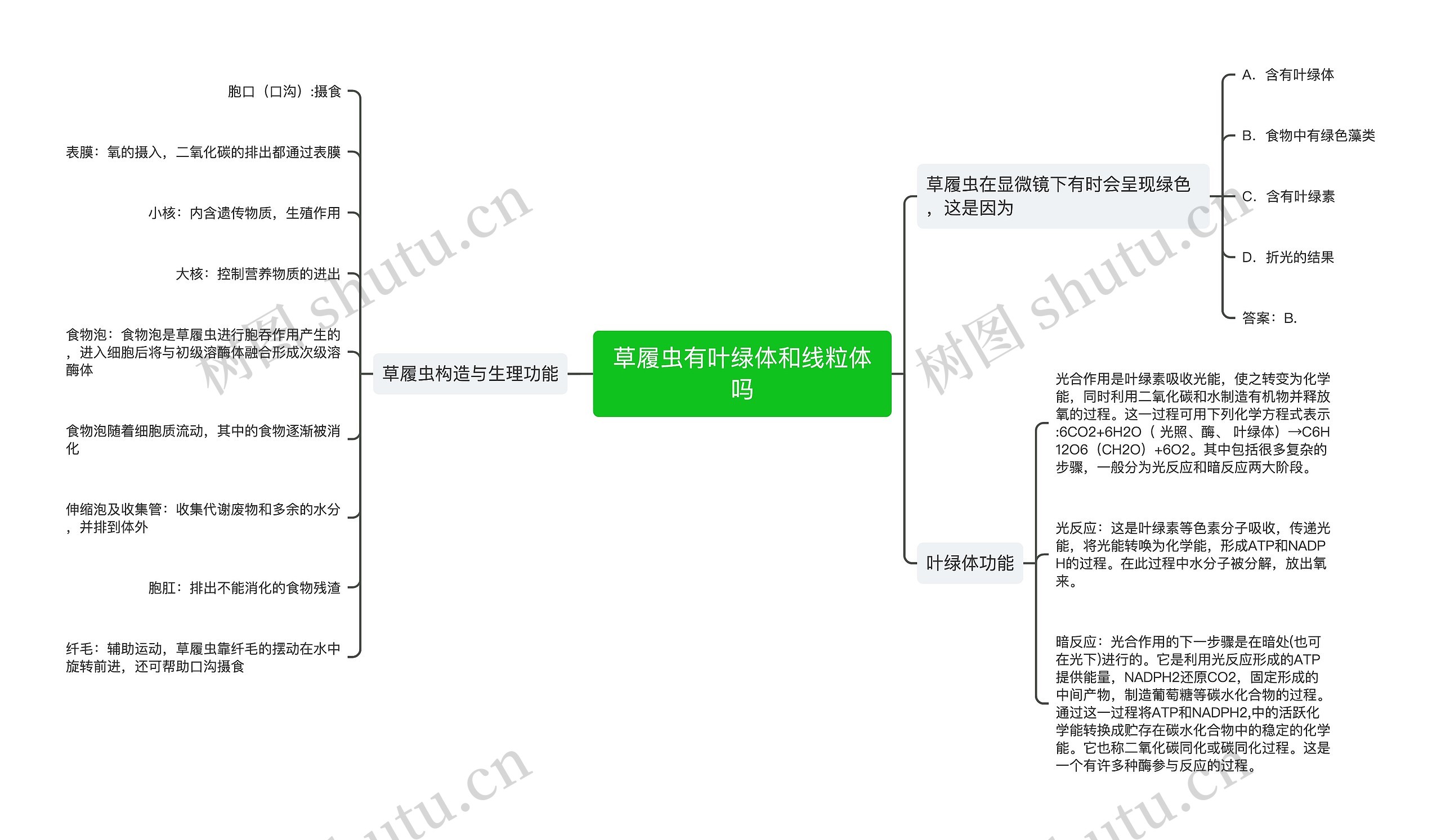 草履虫有叶绿体和线粒体吗思维导图