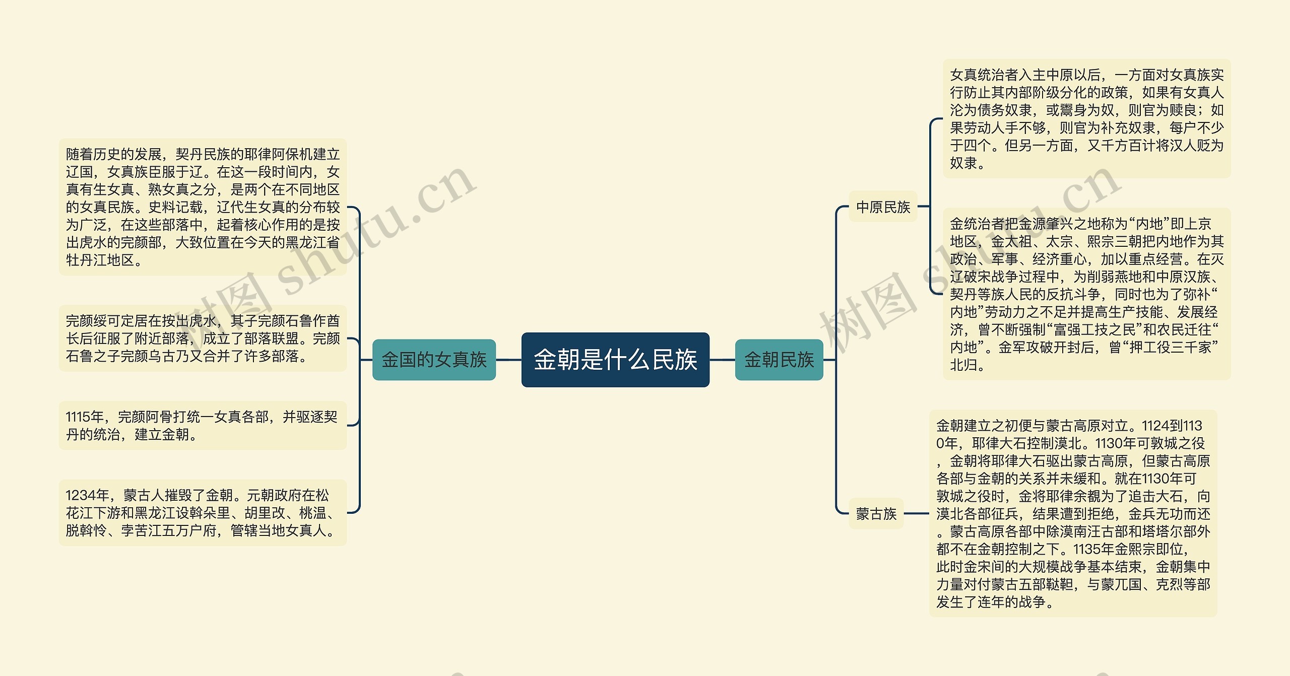 金朝是什么民族思维导图