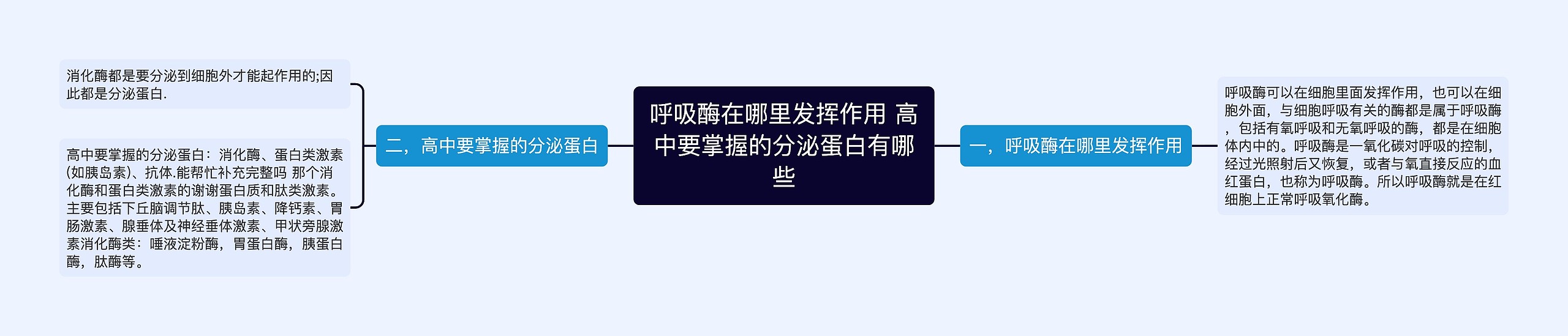 呼吸酶在哪里发挥作用 高中要掌握的分泌蛋白有哪些思维导图