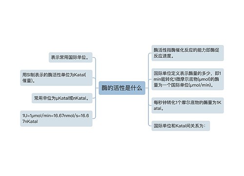 酶的活性是什么