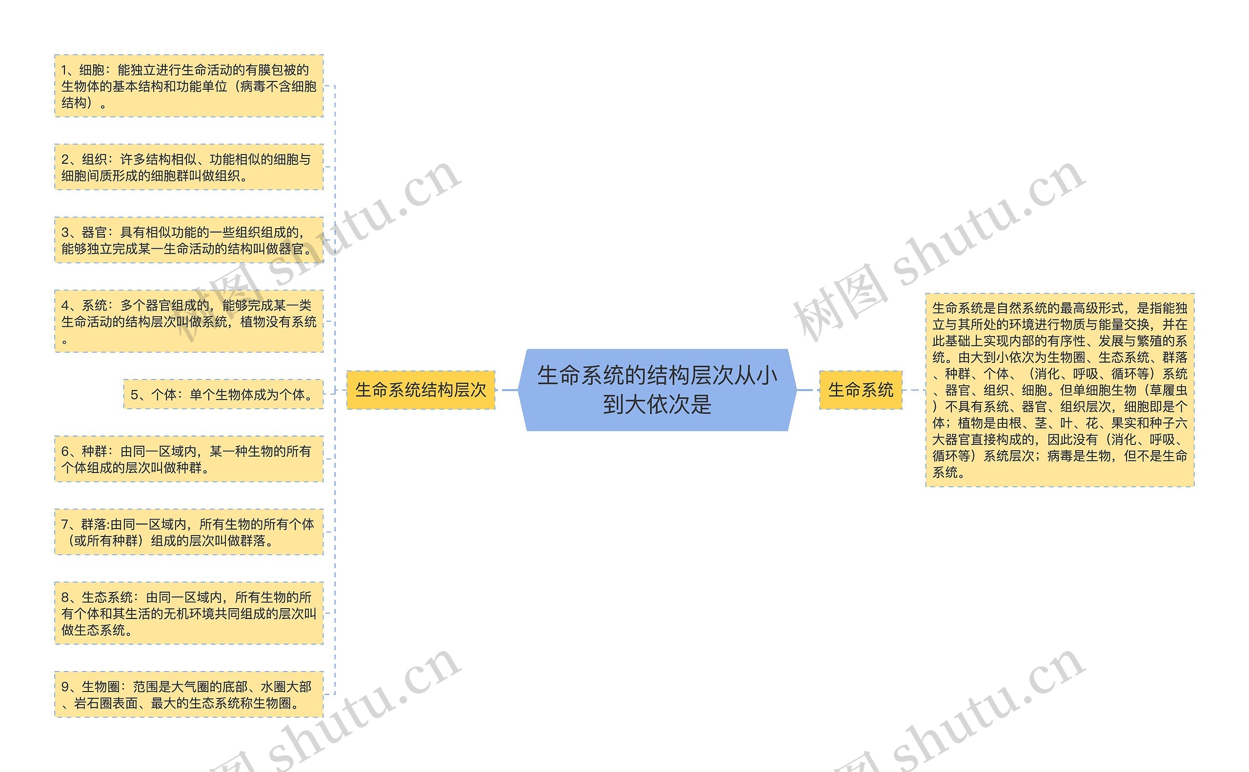 生命系统的结构层次从小到大依次是