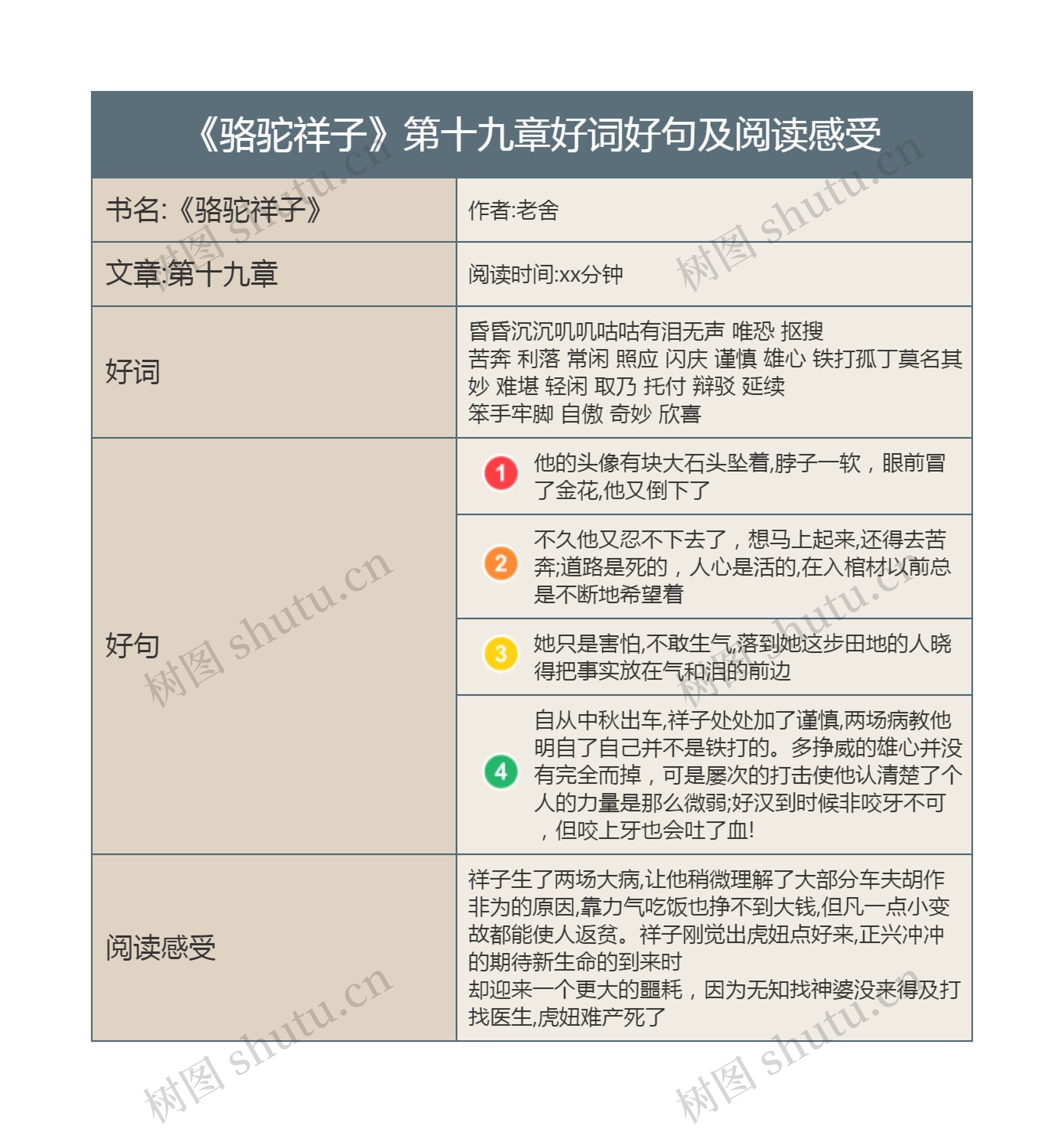 《骆驼祥子》第十九章好词好句及阅读感受