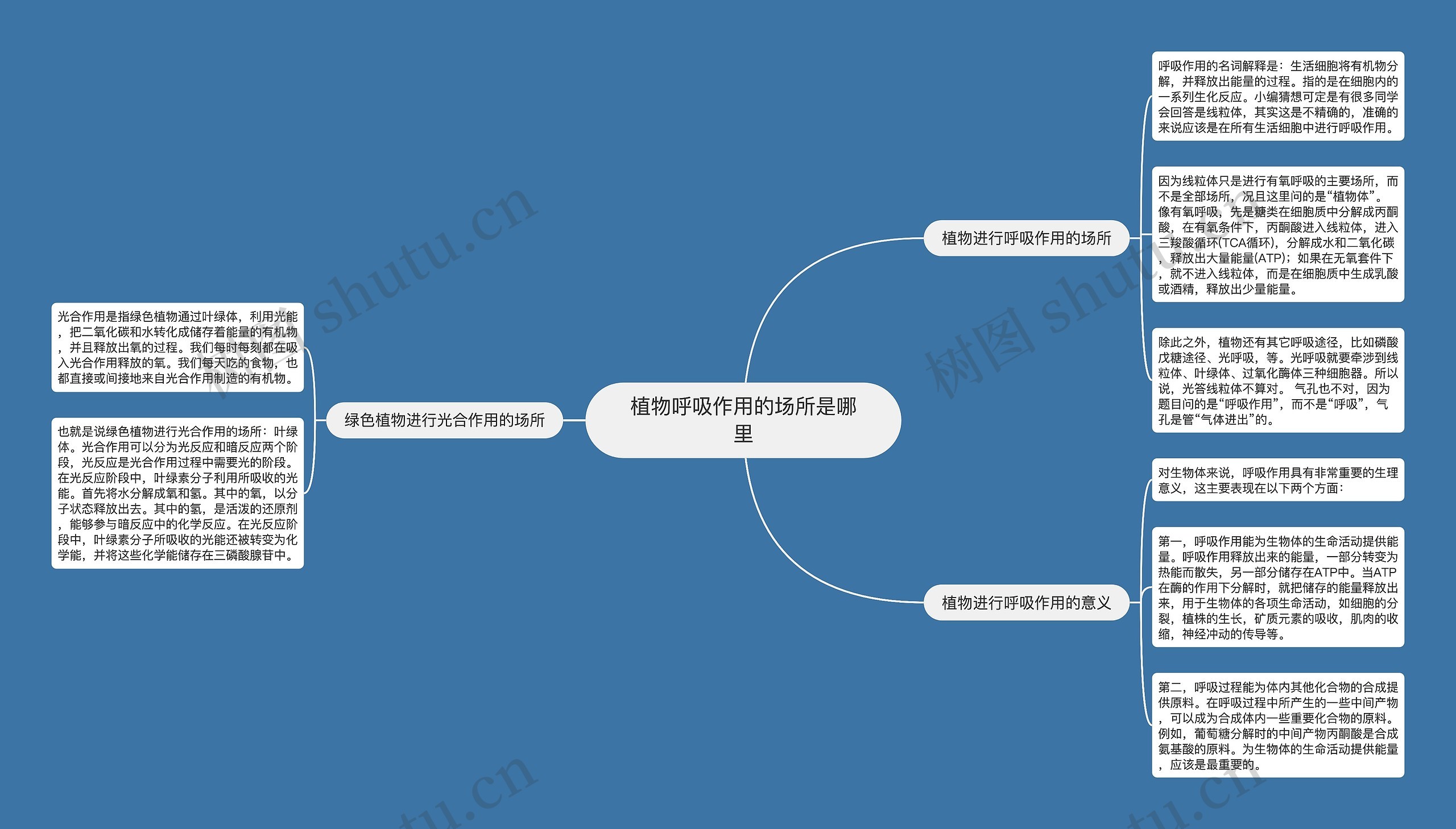 植物呼吸作用的场所是哪里