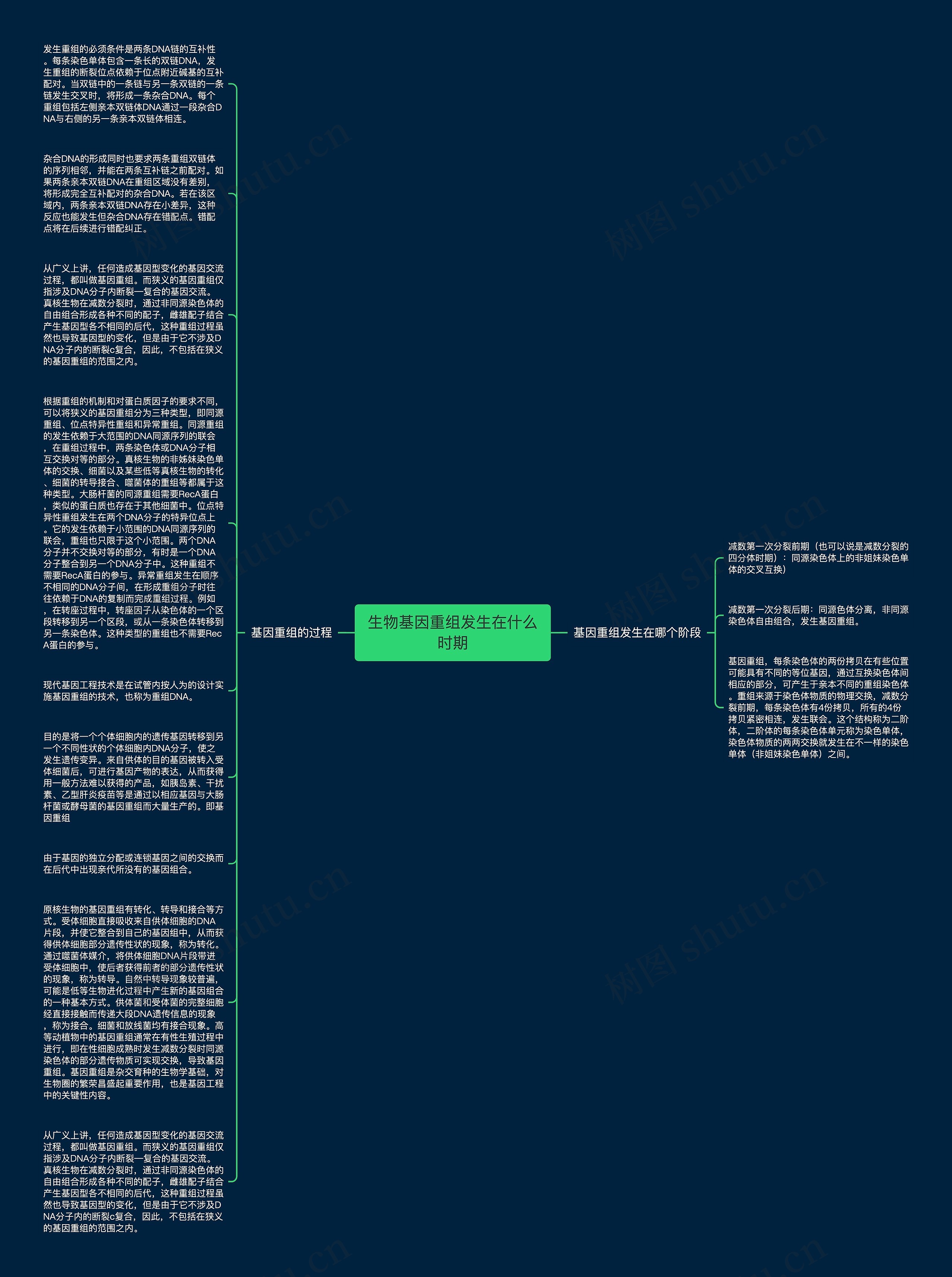 生物基因重组发生在什么时期思维导图