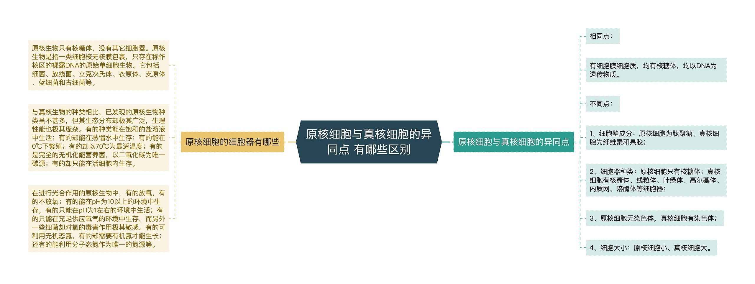 原核细胞与真核细胞的异同点 有哪些区别思维导图