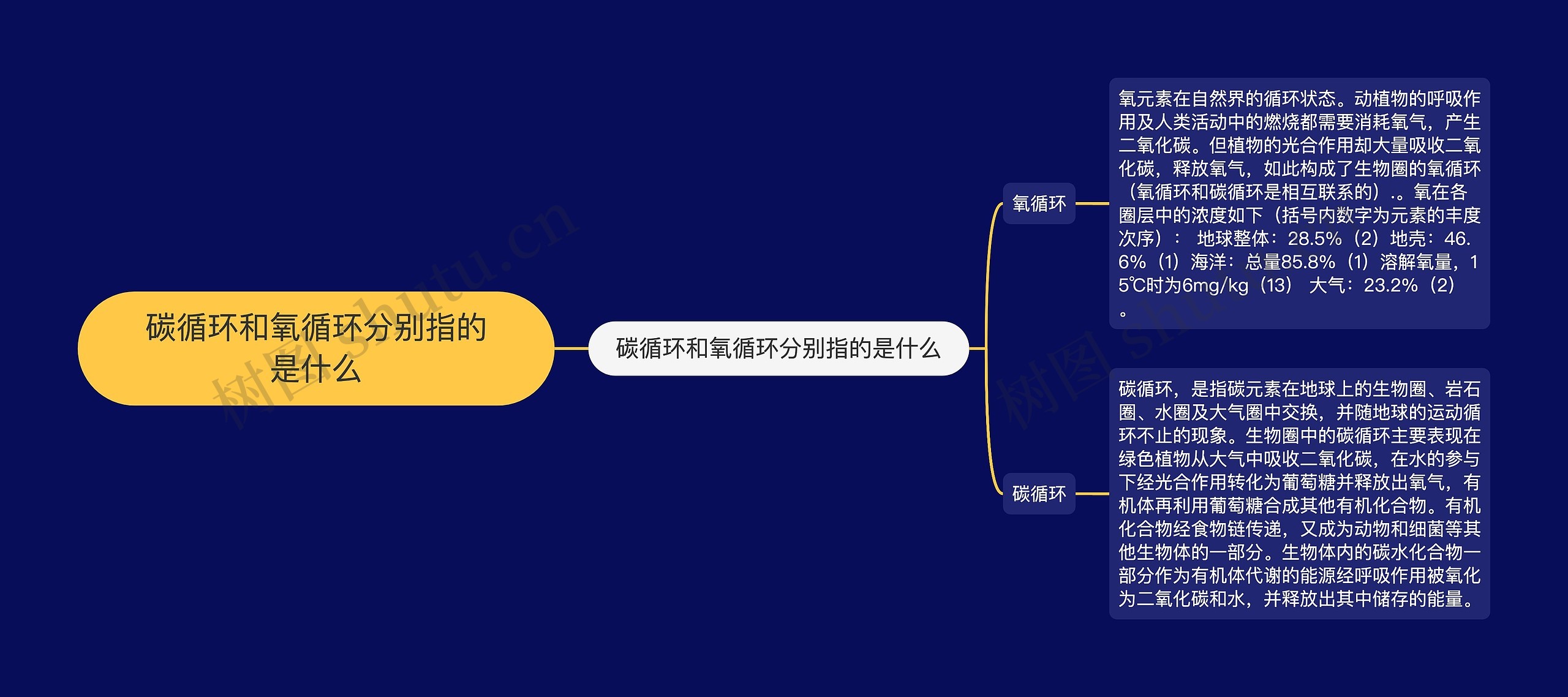 碳循环和氧循环分别指的是什么思维导图