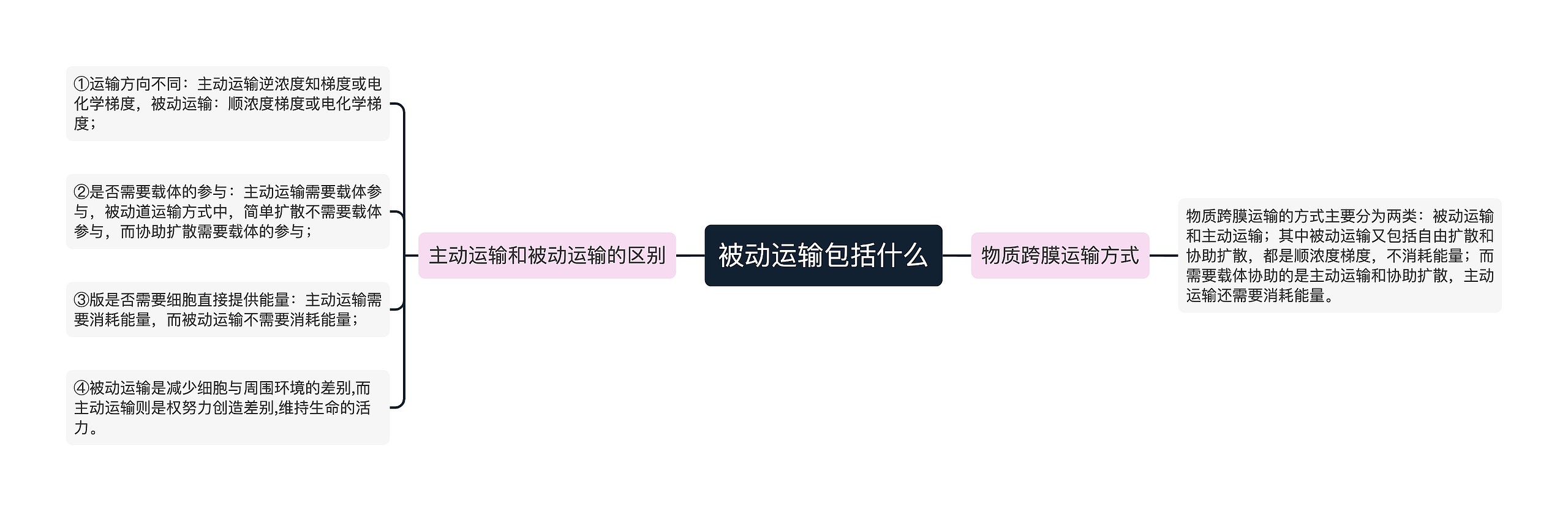 被动运输包括什么思维导图高清图 被动运输包括什么思维导图