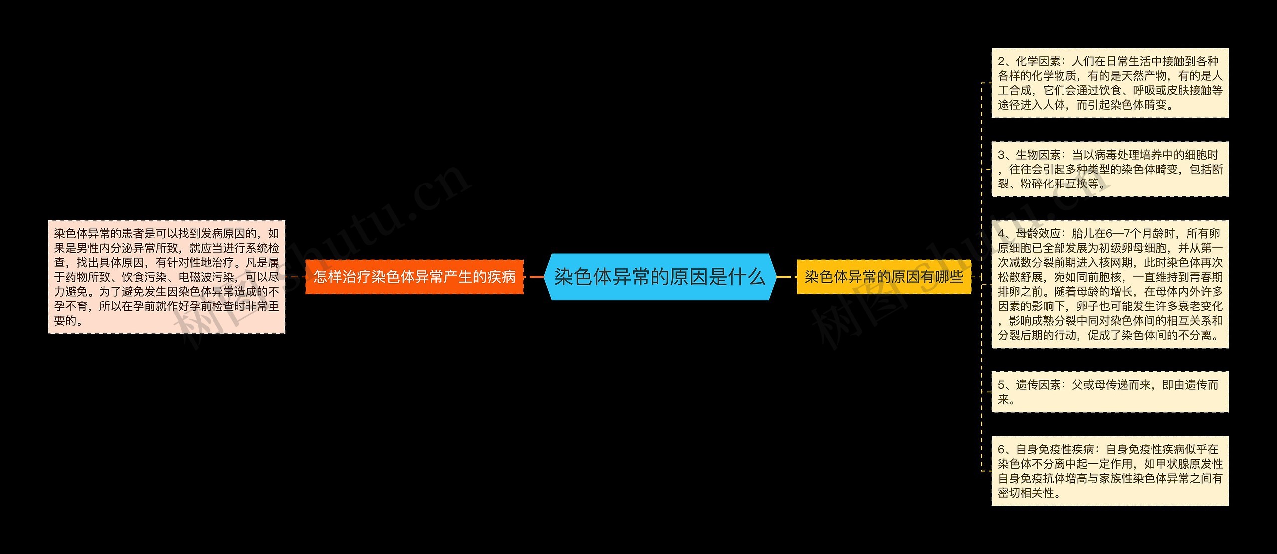 染色体异常的原因是什么思维导图