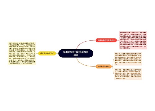细胞呼吸作用的实质及表达式