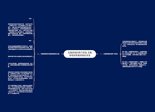 无氧呼吸的两个阶段 无氧呼吸和有氧呼吸的关系