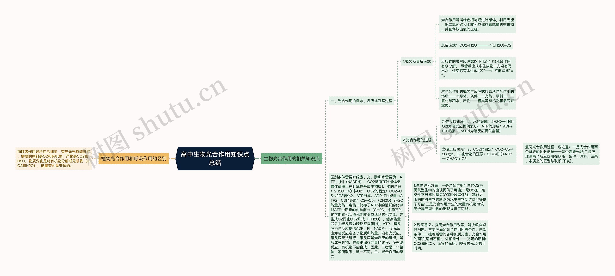 高中生物光合作用知识点总结思维导图