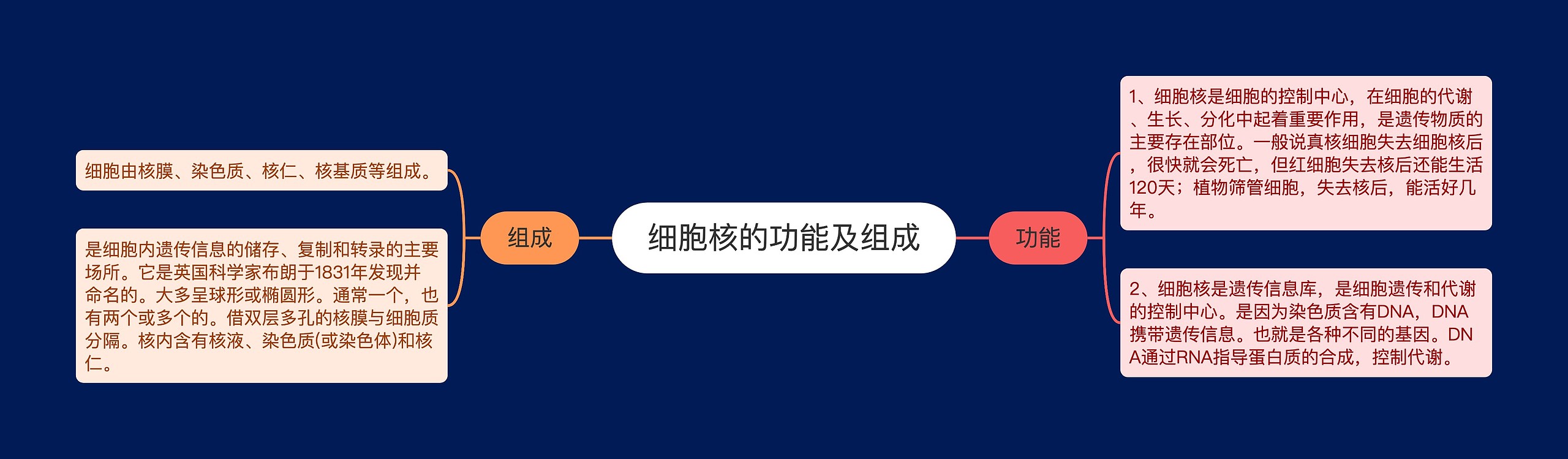 细胞核的功能及组成