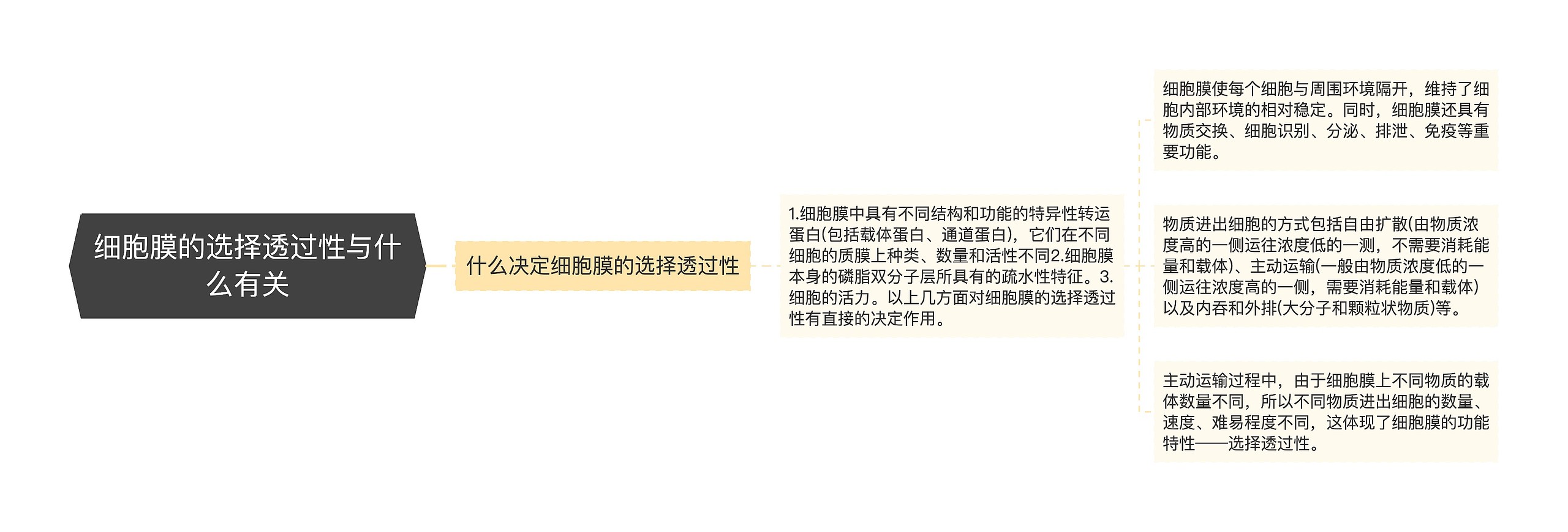 细胞膜的选择透过性与什么有关 细胞膜的选择透过性与什么有关