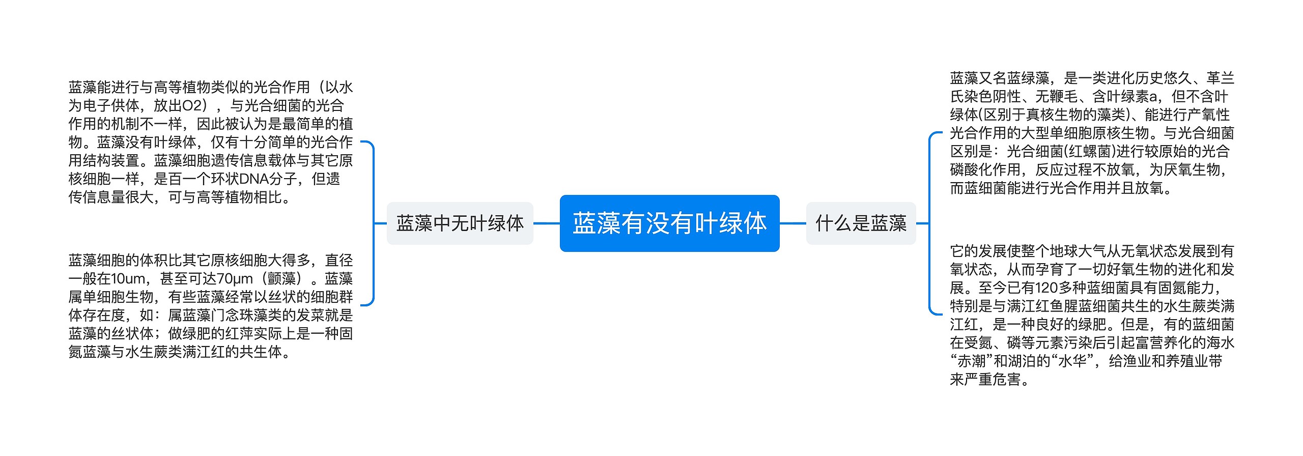 蓝藻有没有叶绿体思维导图
