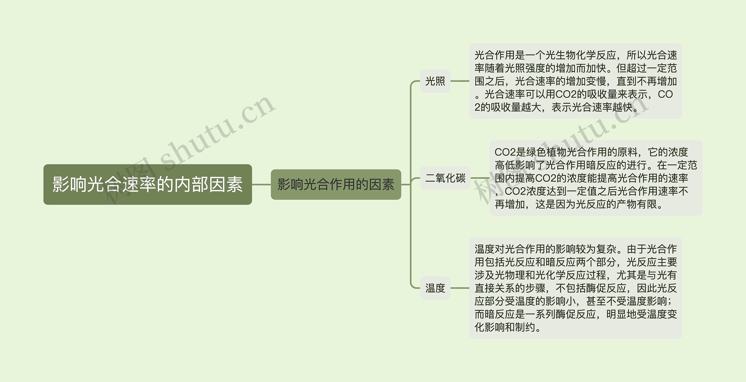 影响光合速率的内部因素思维导图